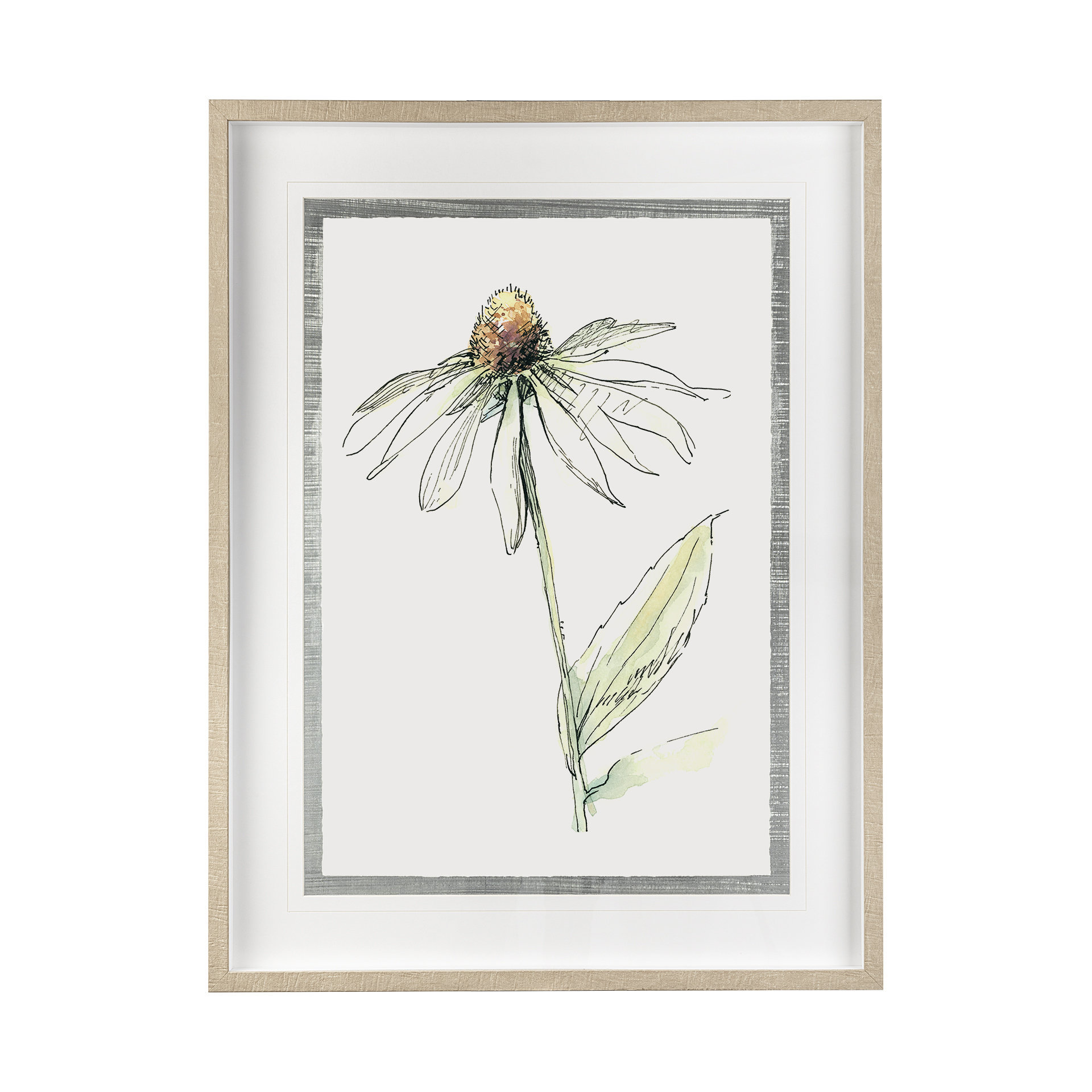 Echinacea II (31 x 41)