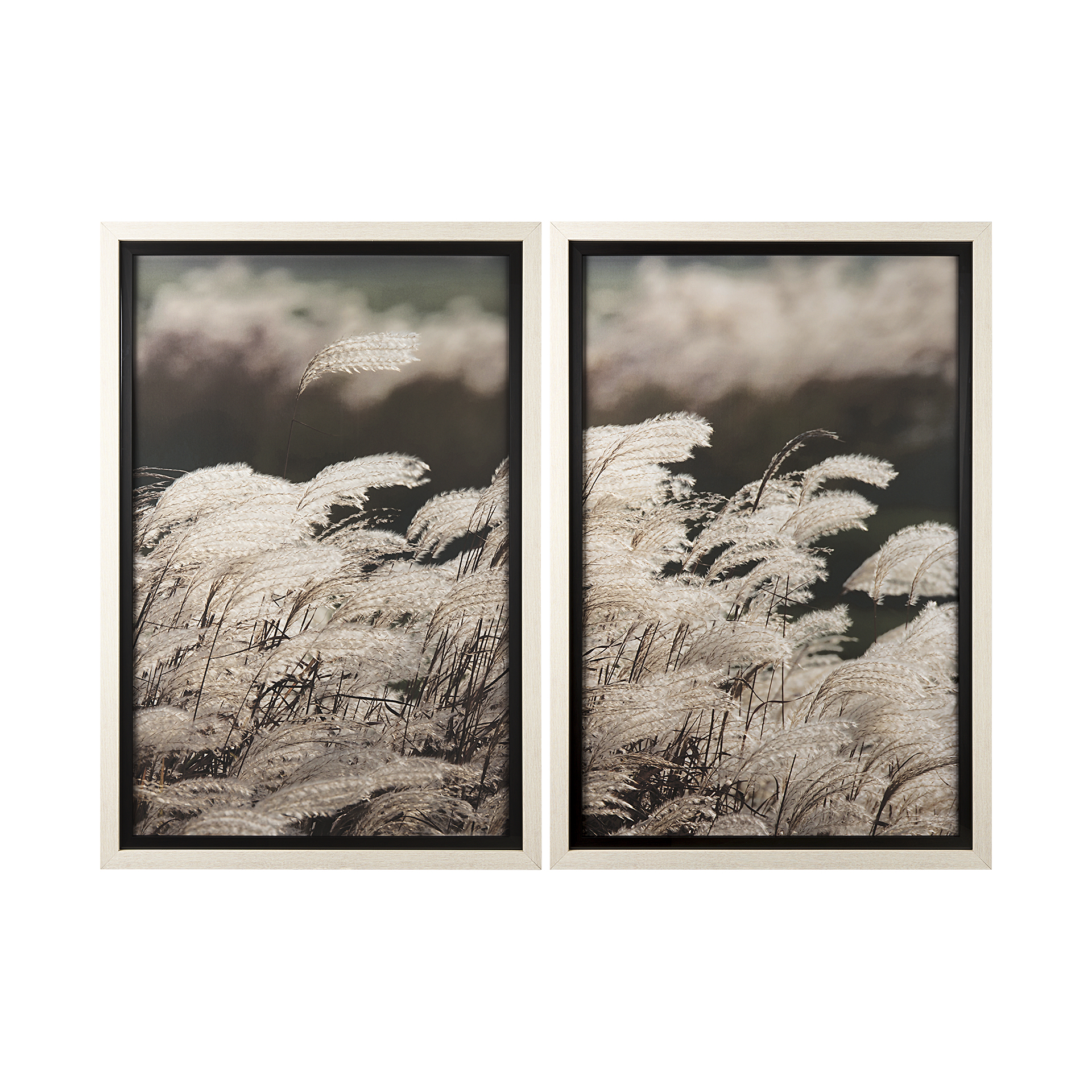 Nature's Melody Set of 2 (43 x 63)