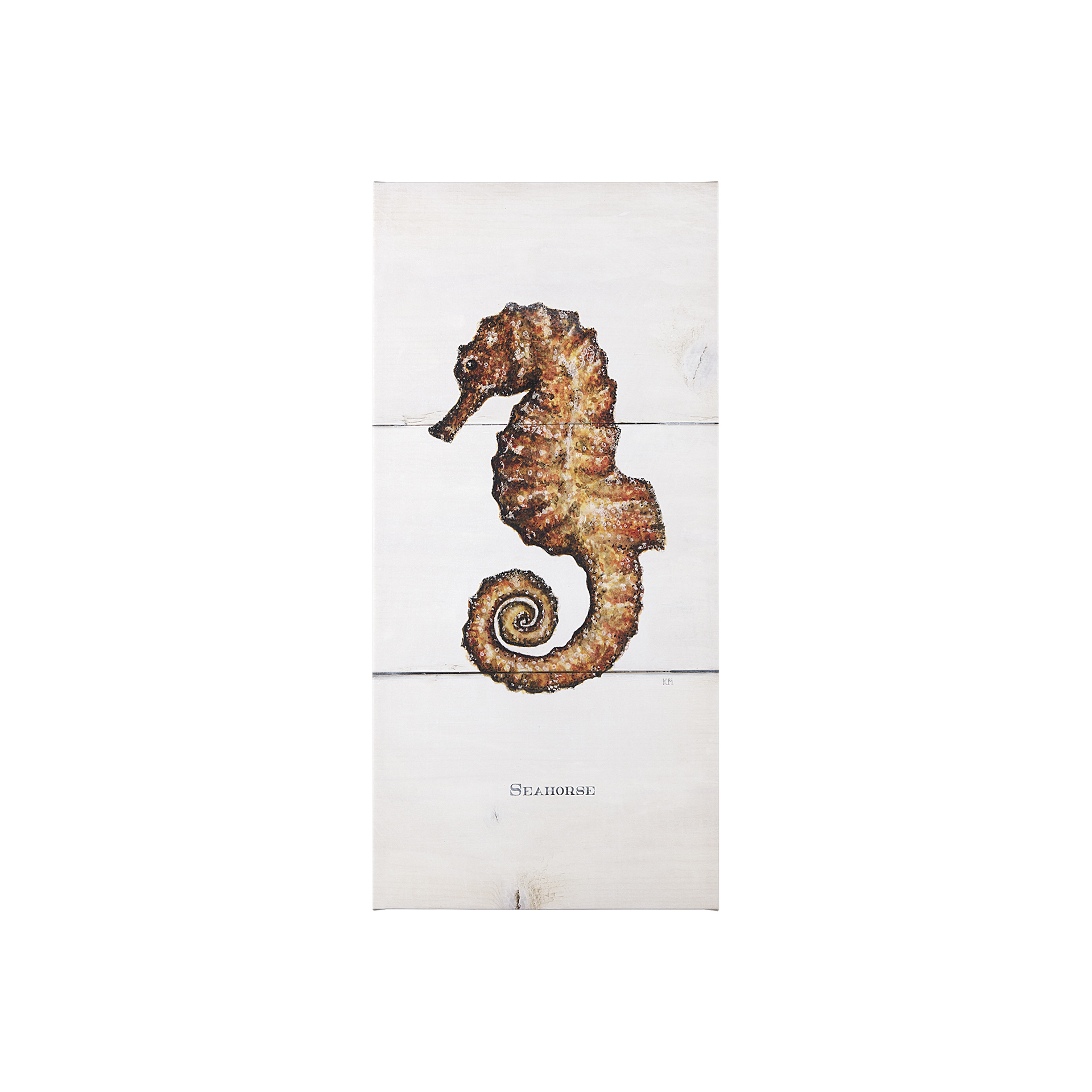 Seahorse II (20 x 42)