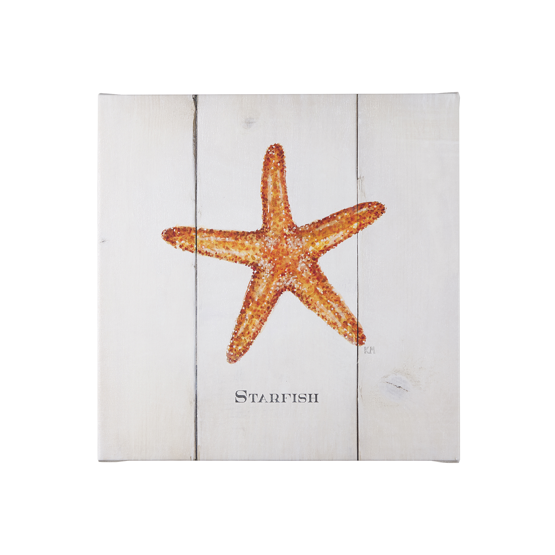 Starfish IV (20 x 20)