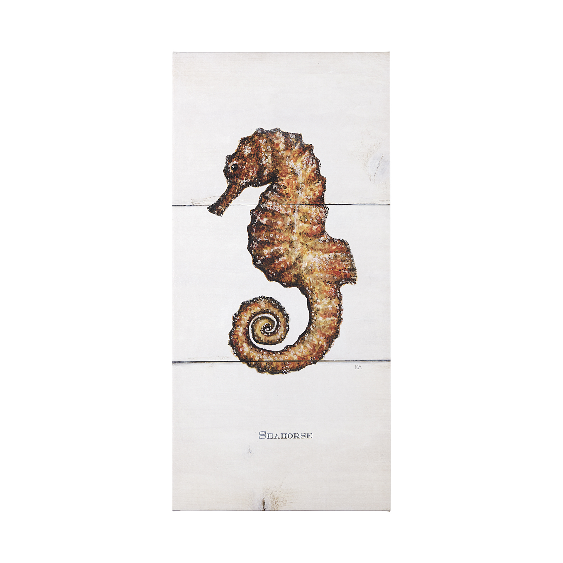 Seahorse II (30 x 62)