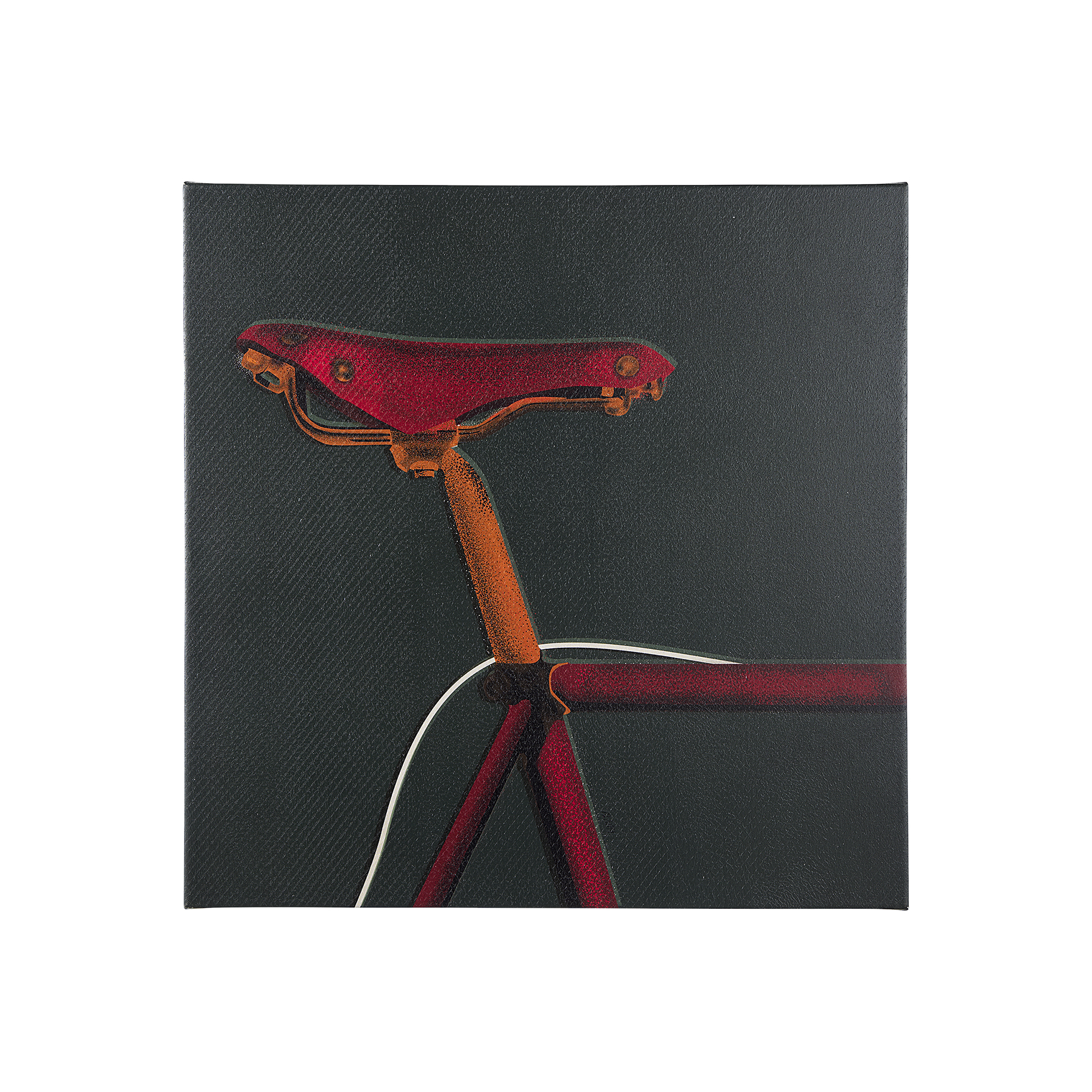 Bike Saddle I (30 x 30)