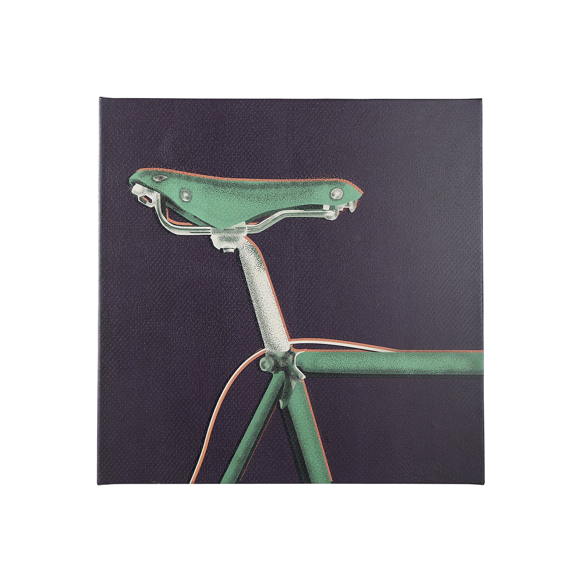 Bike Saddle III (30 x 30)