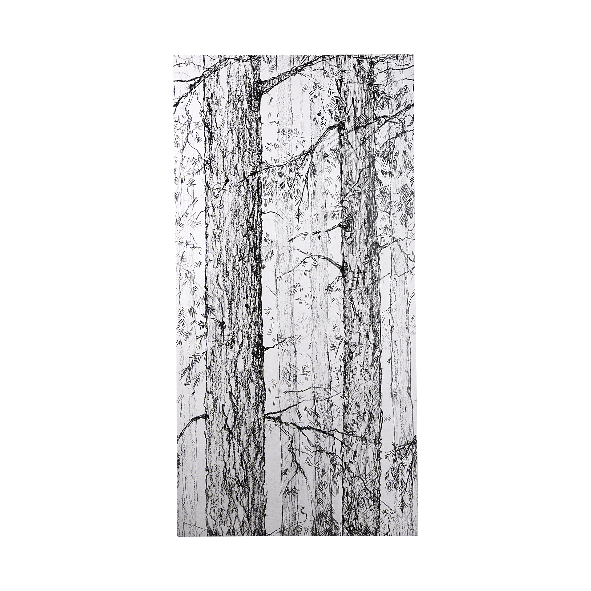 Forest BW I (40 x 80)