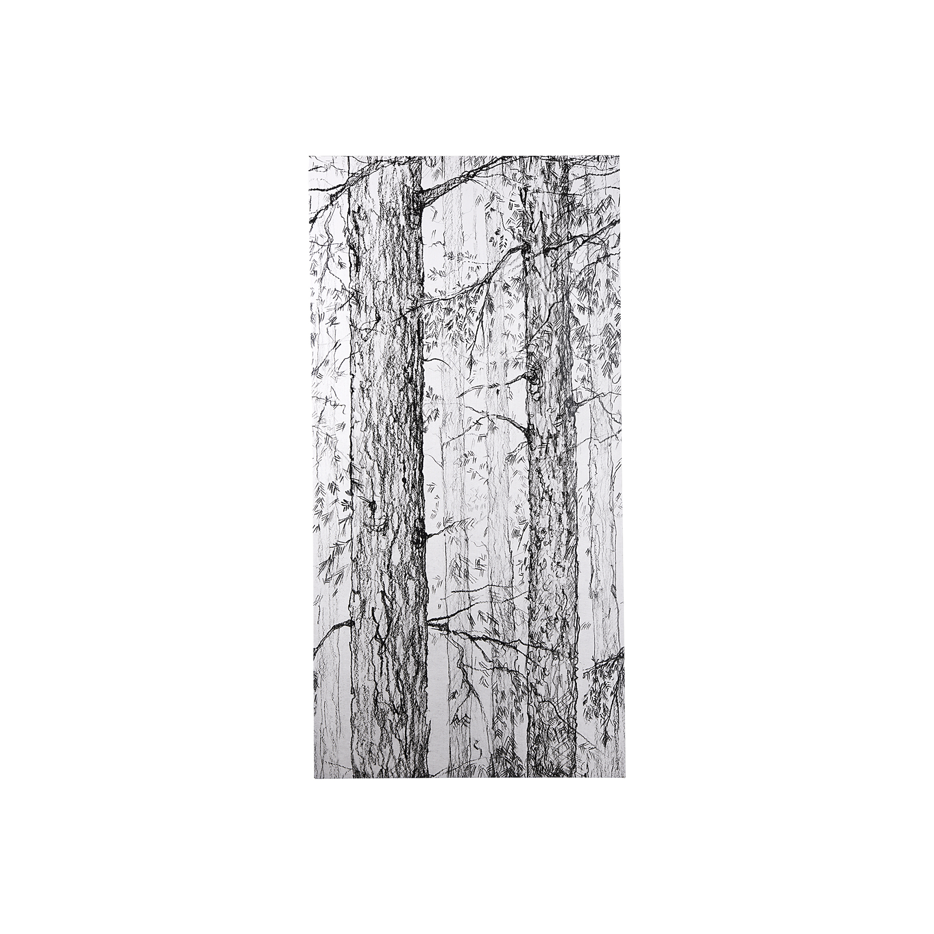 Forest BW I (22 x 44)