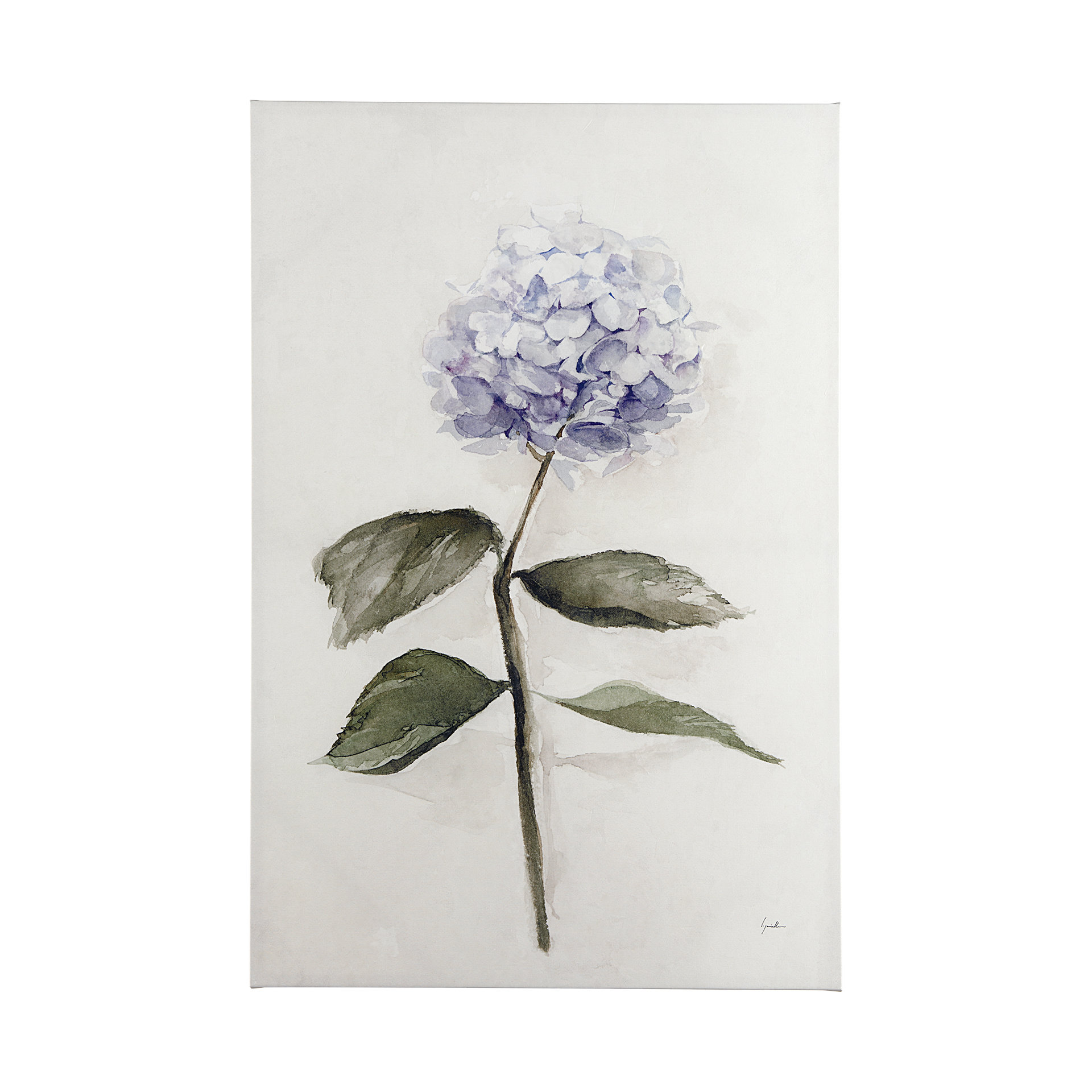 Hydrangea I (40 x 60)