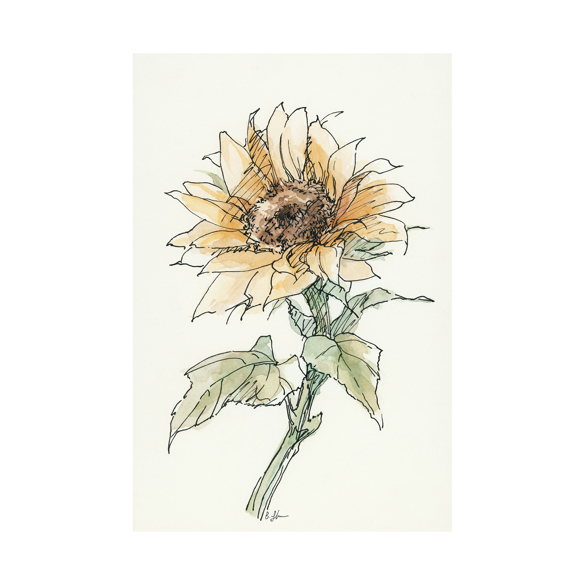 Sunflower II (30 x 45)