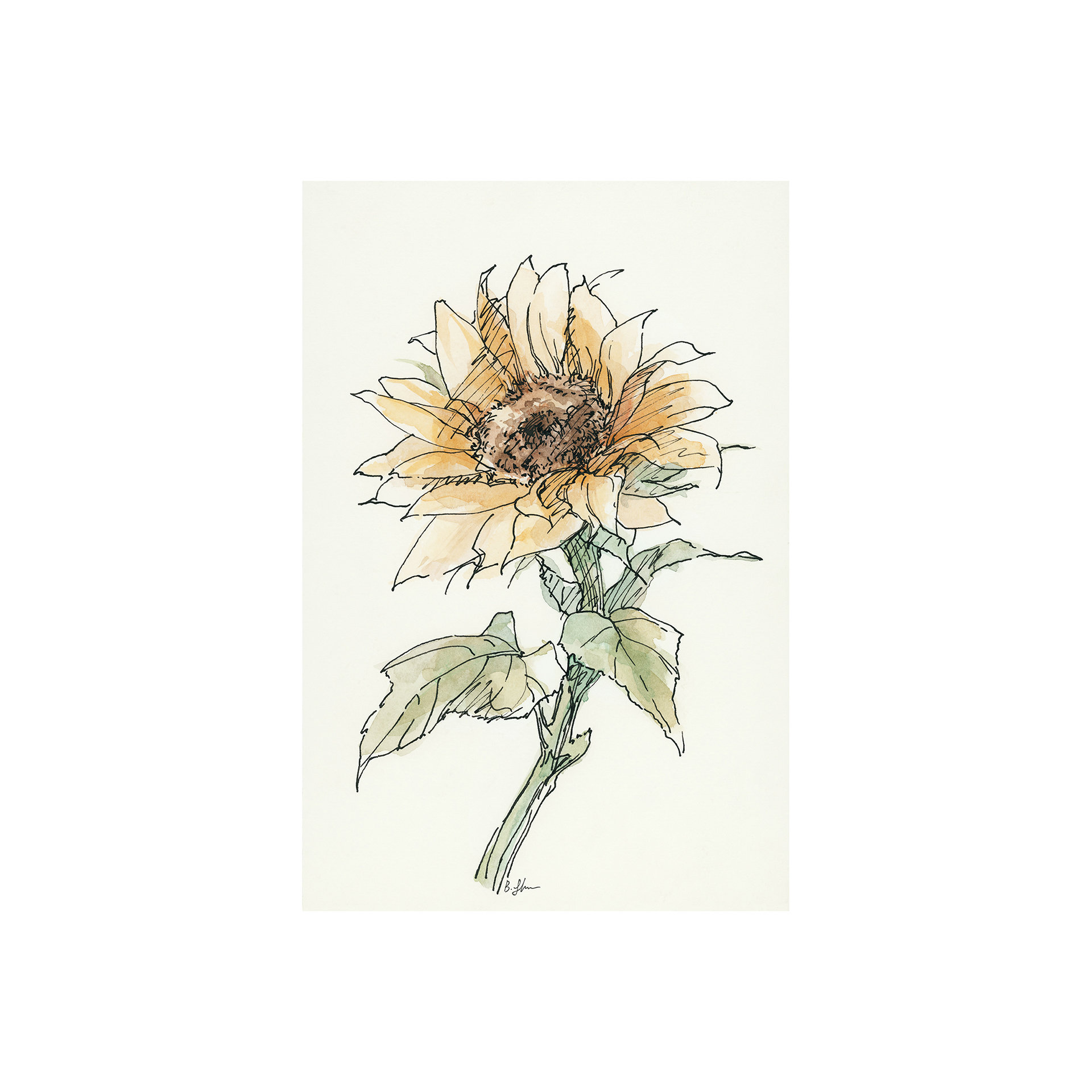 Sunflower II (20 x 30)