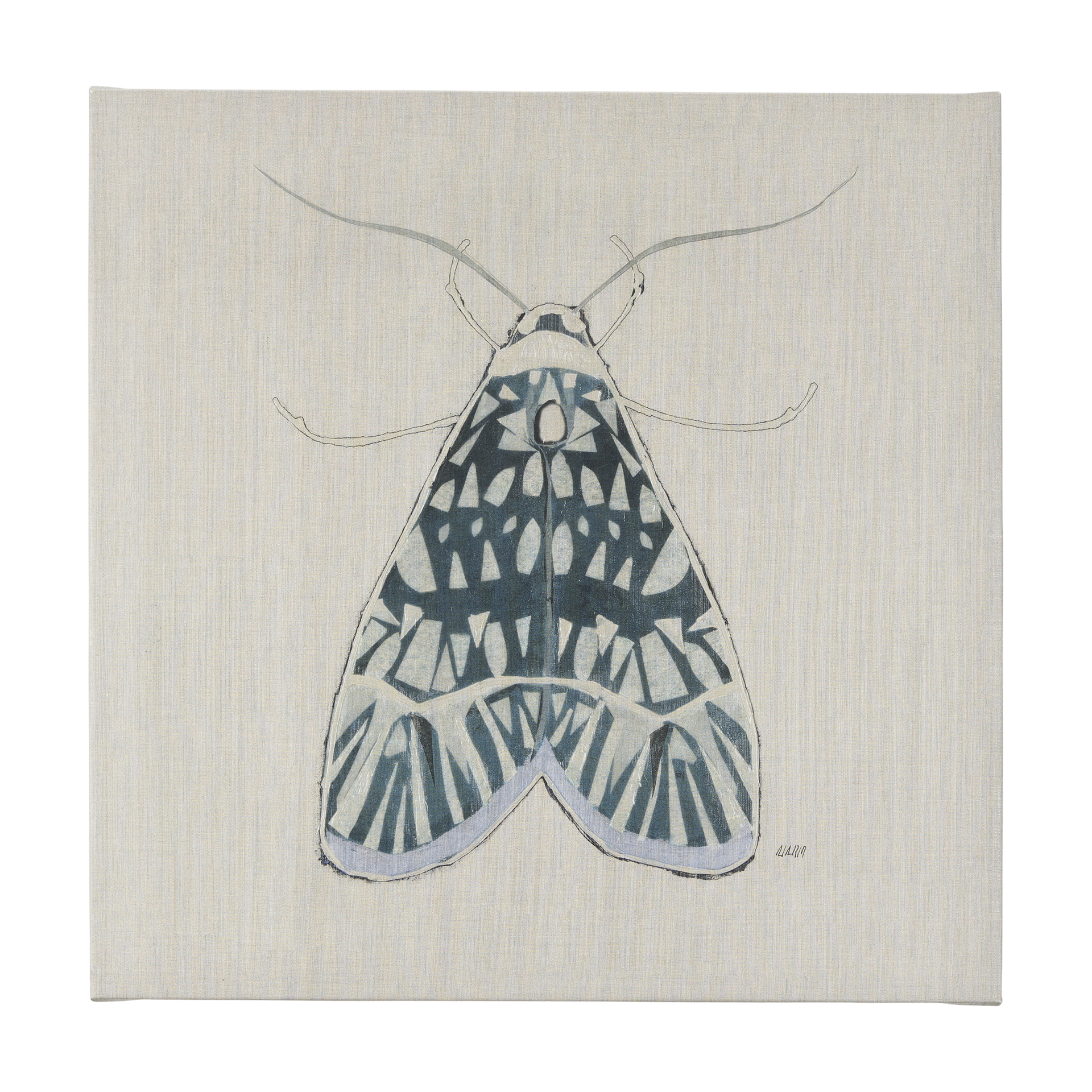 Moth Blue I (30 x 30 )