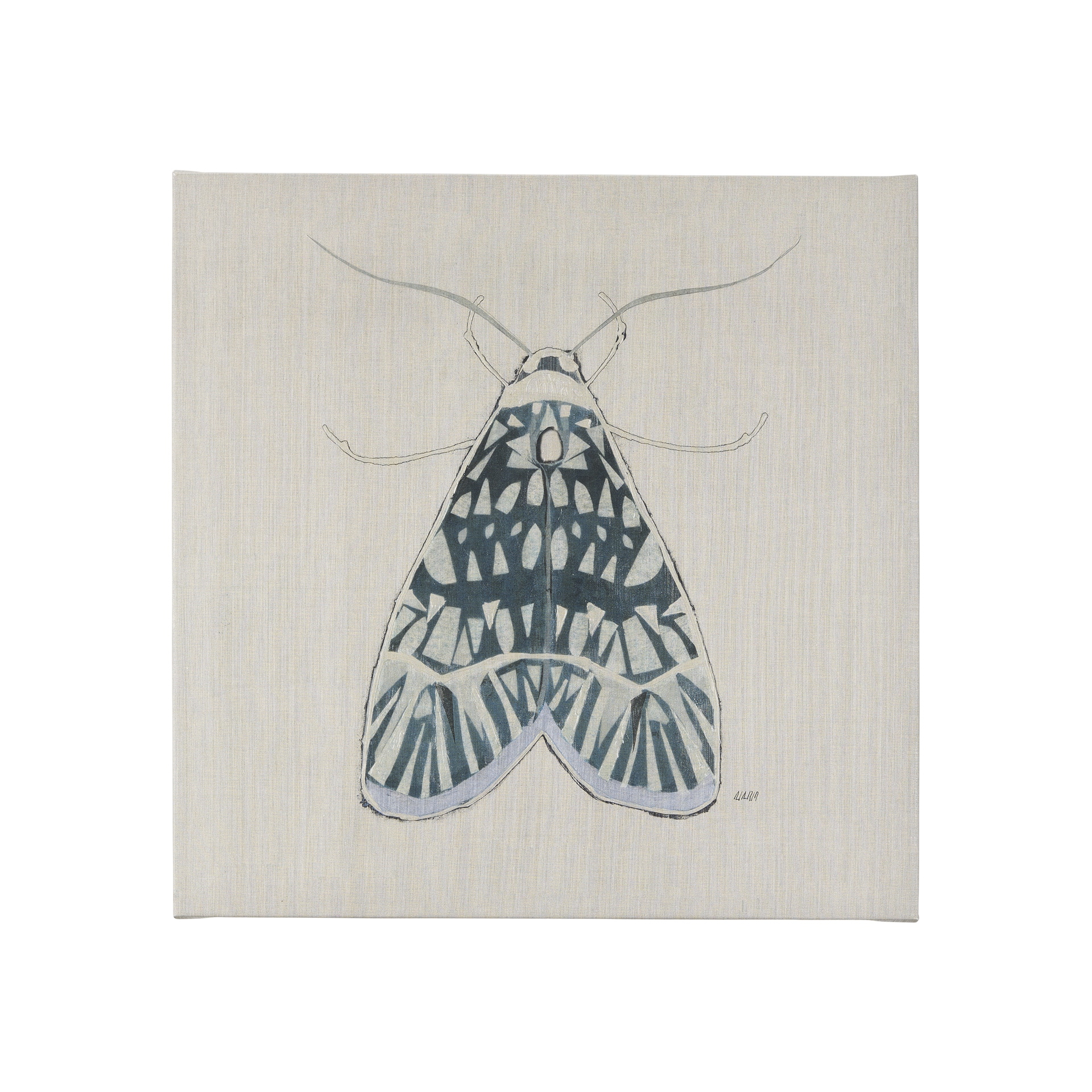 Moth Blue I (20 x 20 )