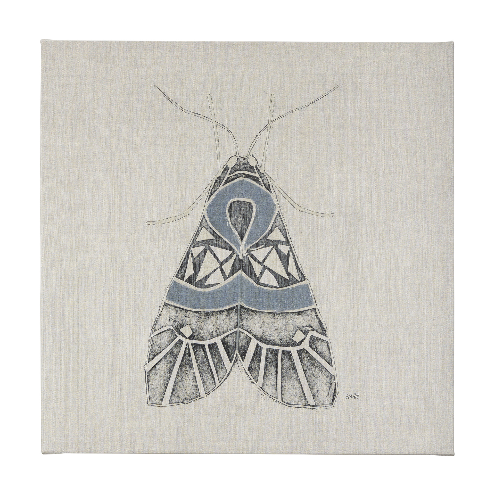 Moth Blue II (30 x 30 )