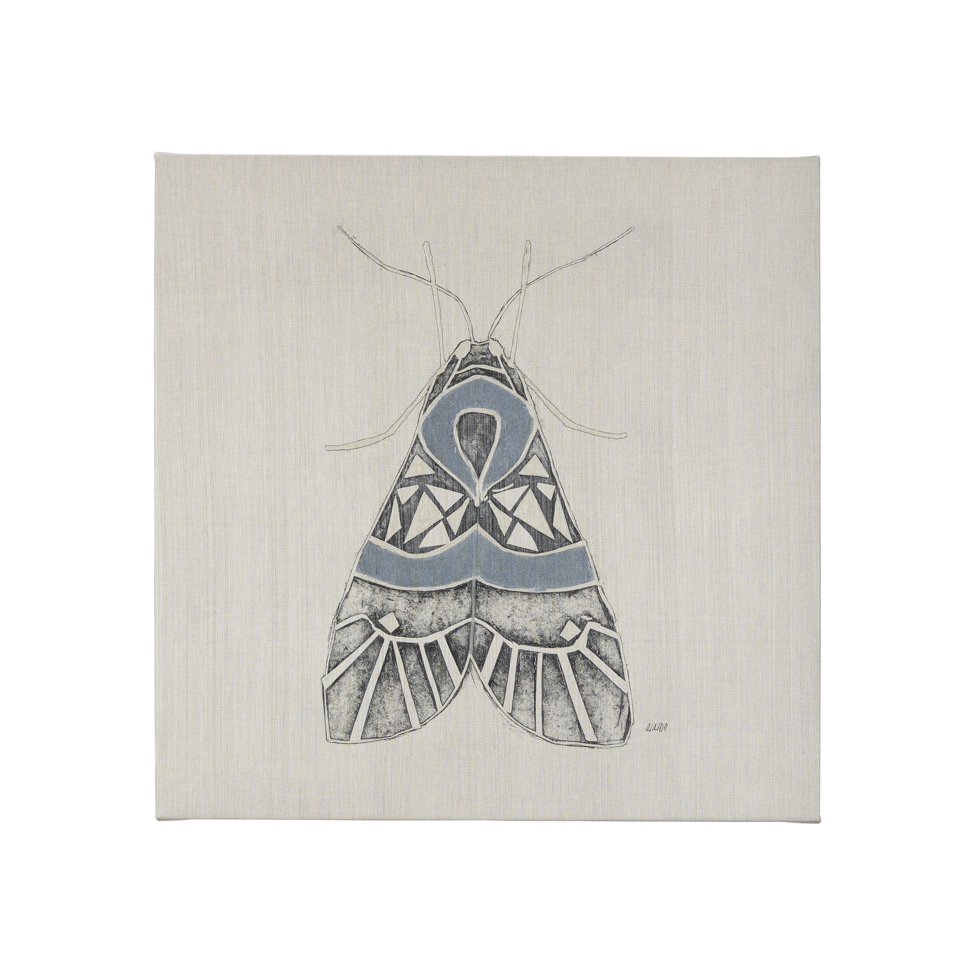 Moth Blue II (20 x 20 )