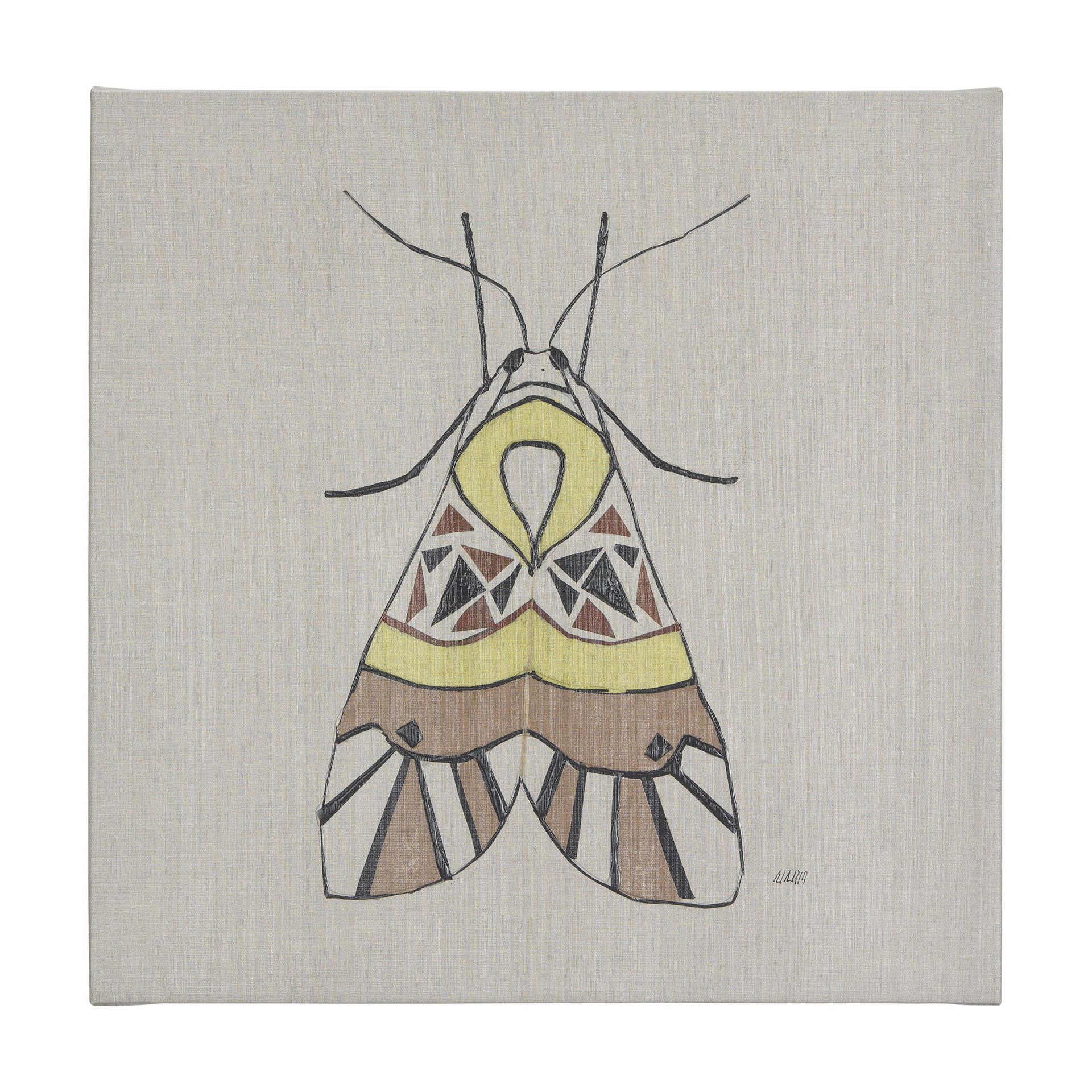 Moth II (30 x 30 )