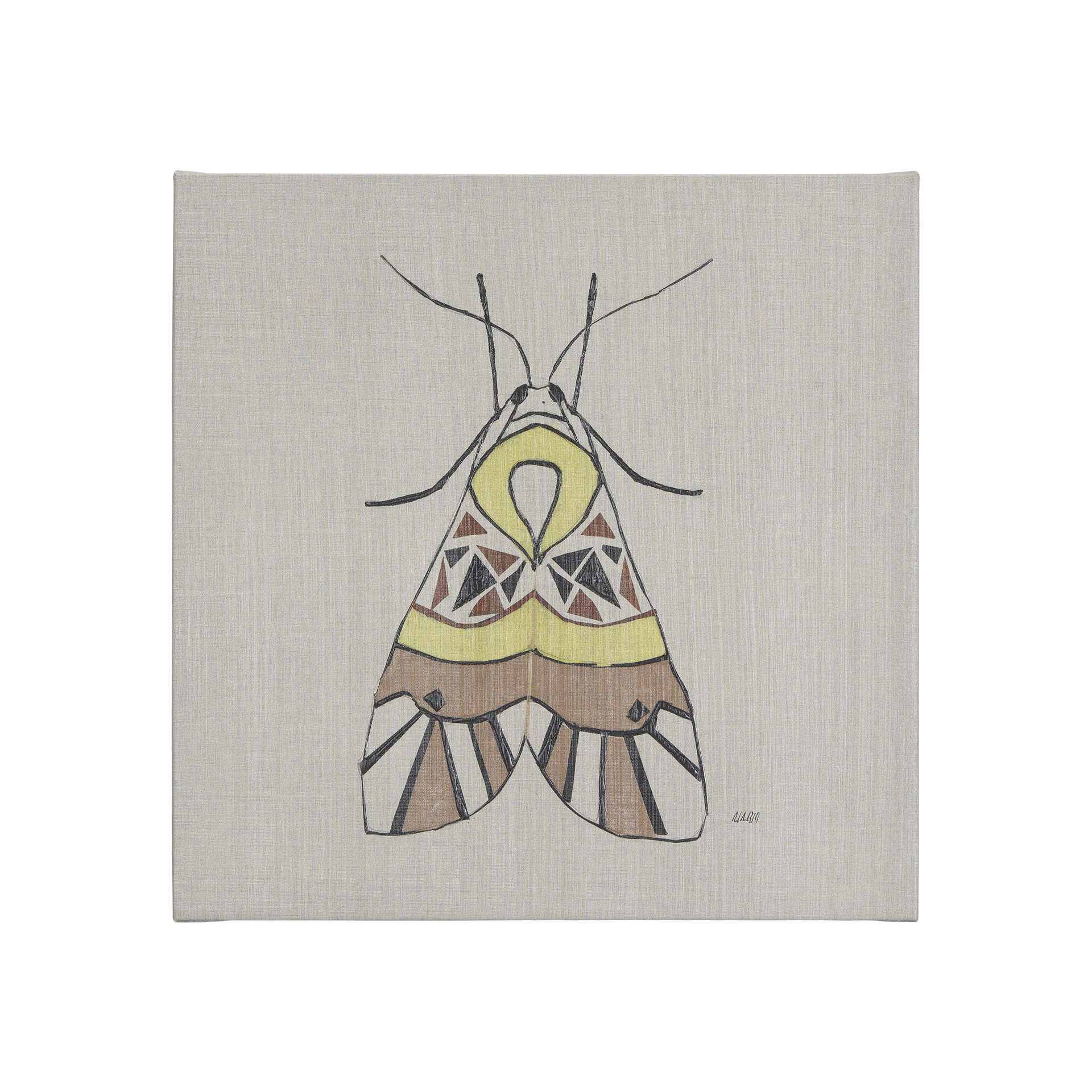 Moth II (20 x 20 )