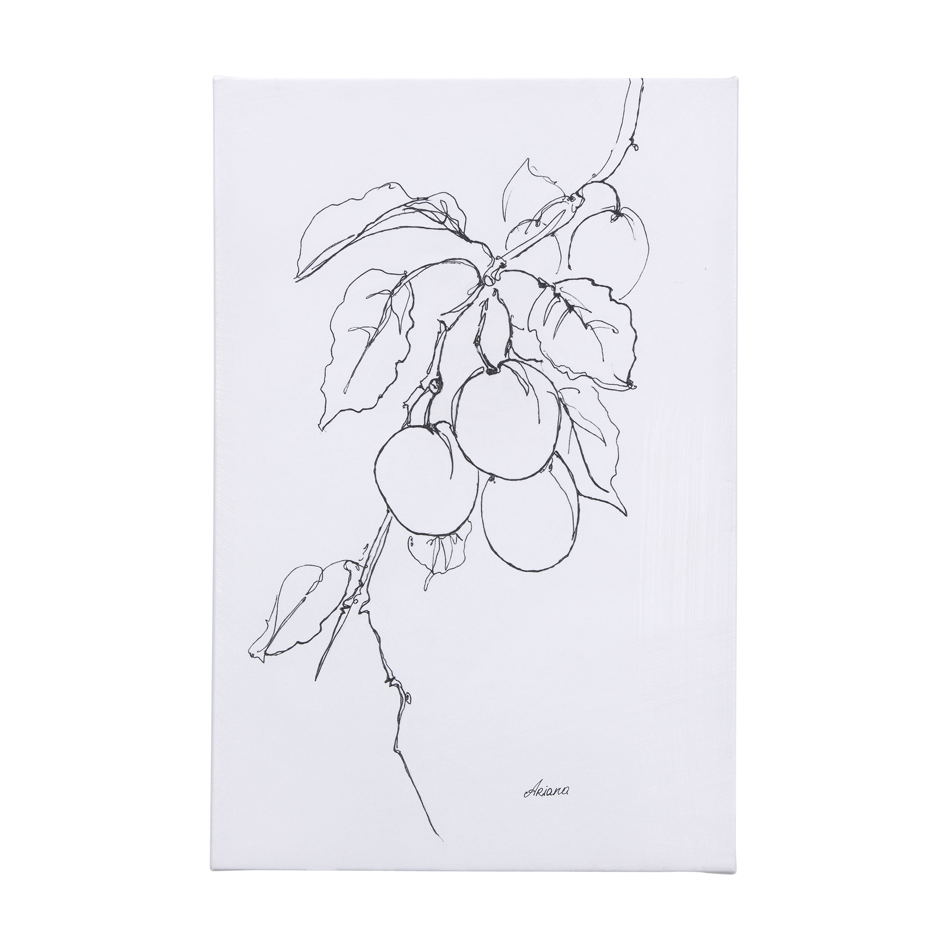 Plum Branch II (24 x 36 )