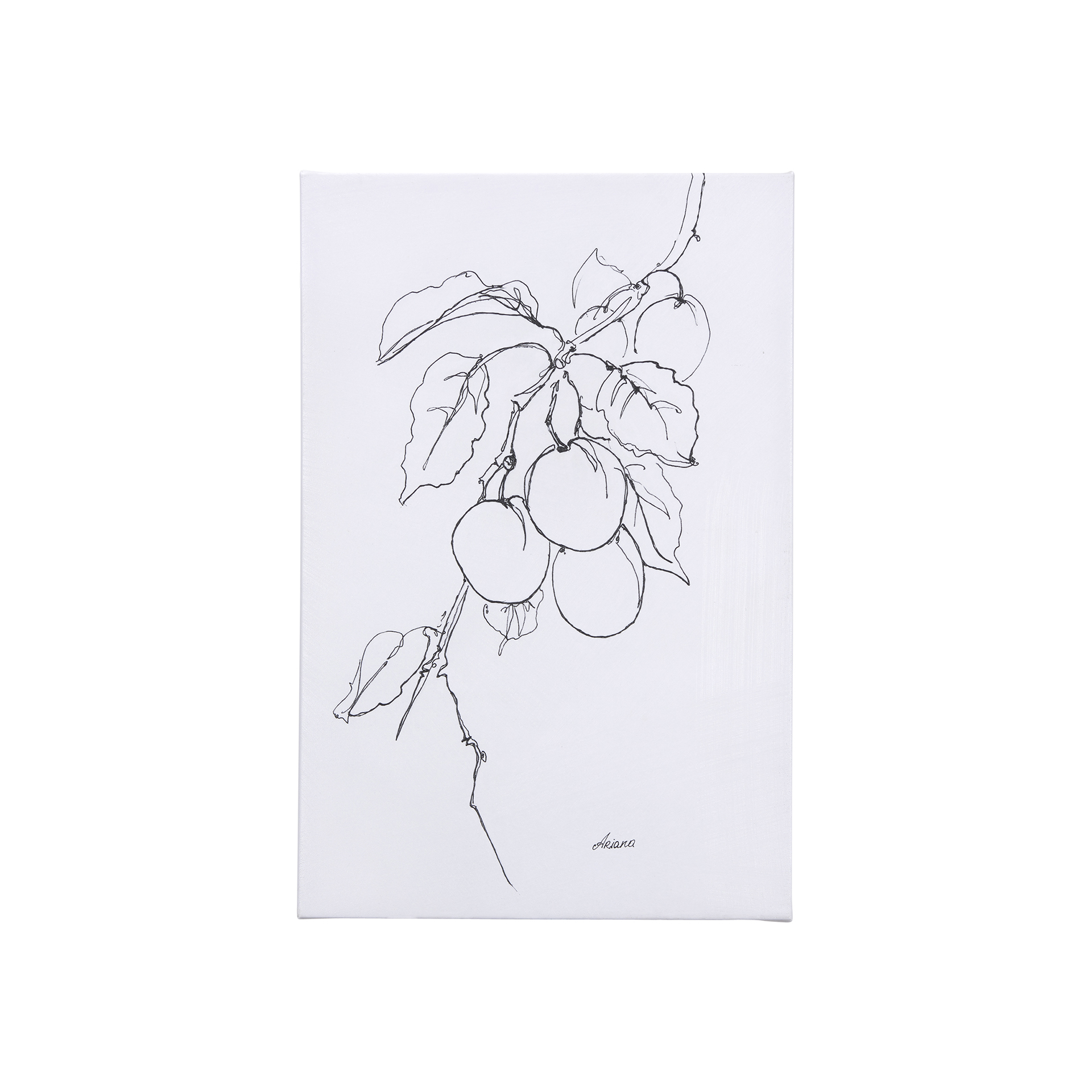 Plum Branch II (18 x 27 )