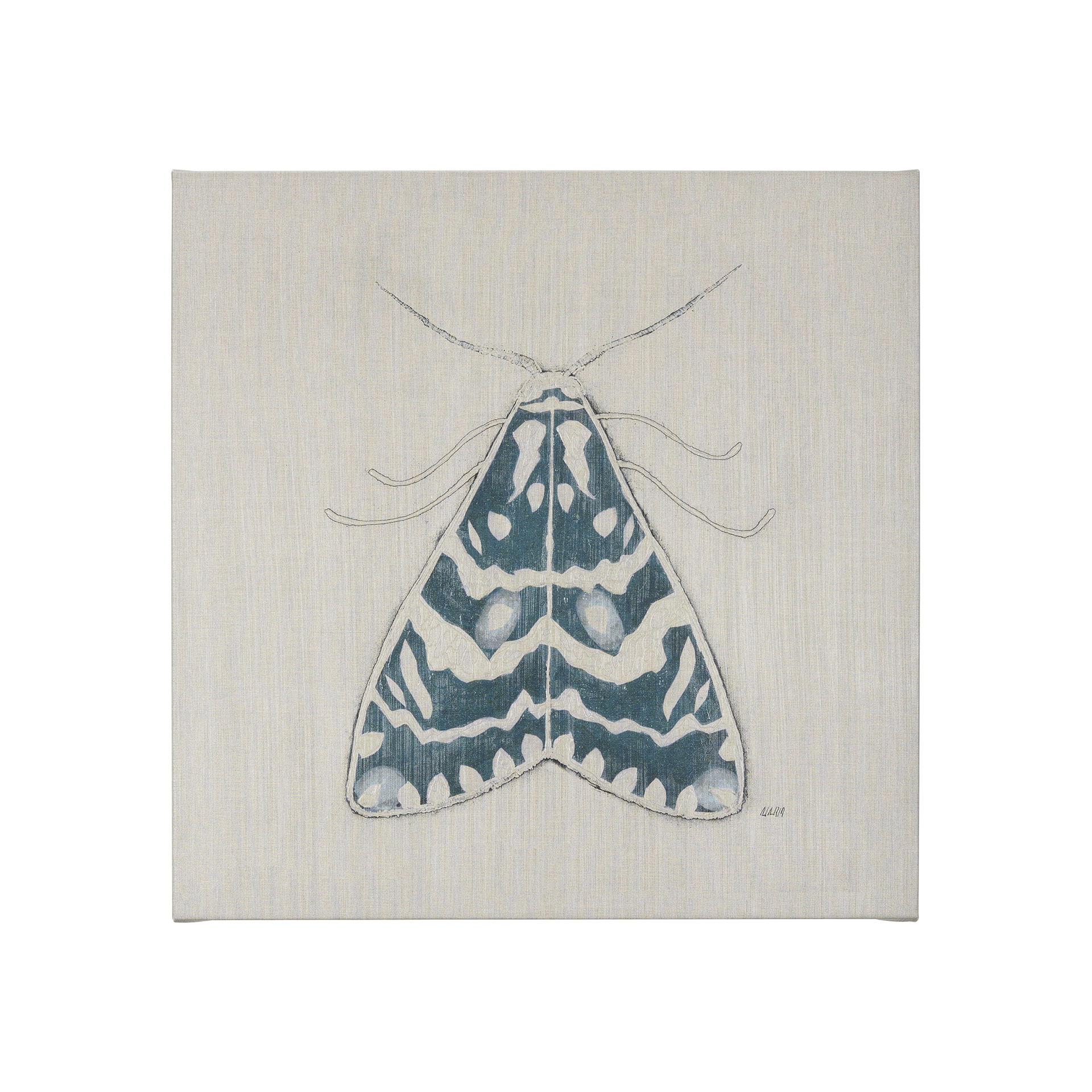 Moth Blue III (20 x 20 )