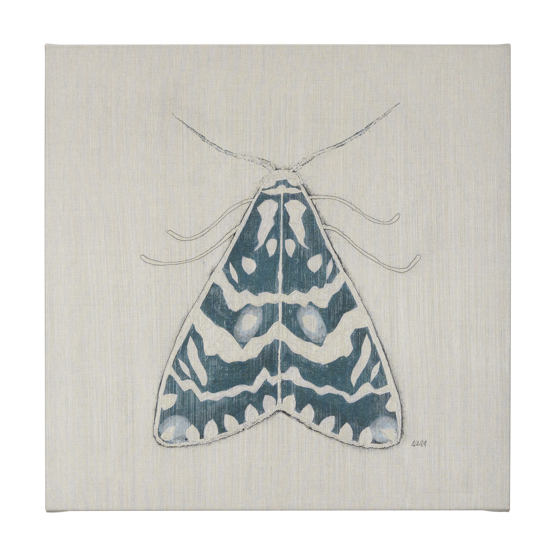 Moth Blue III (30 x 30 )