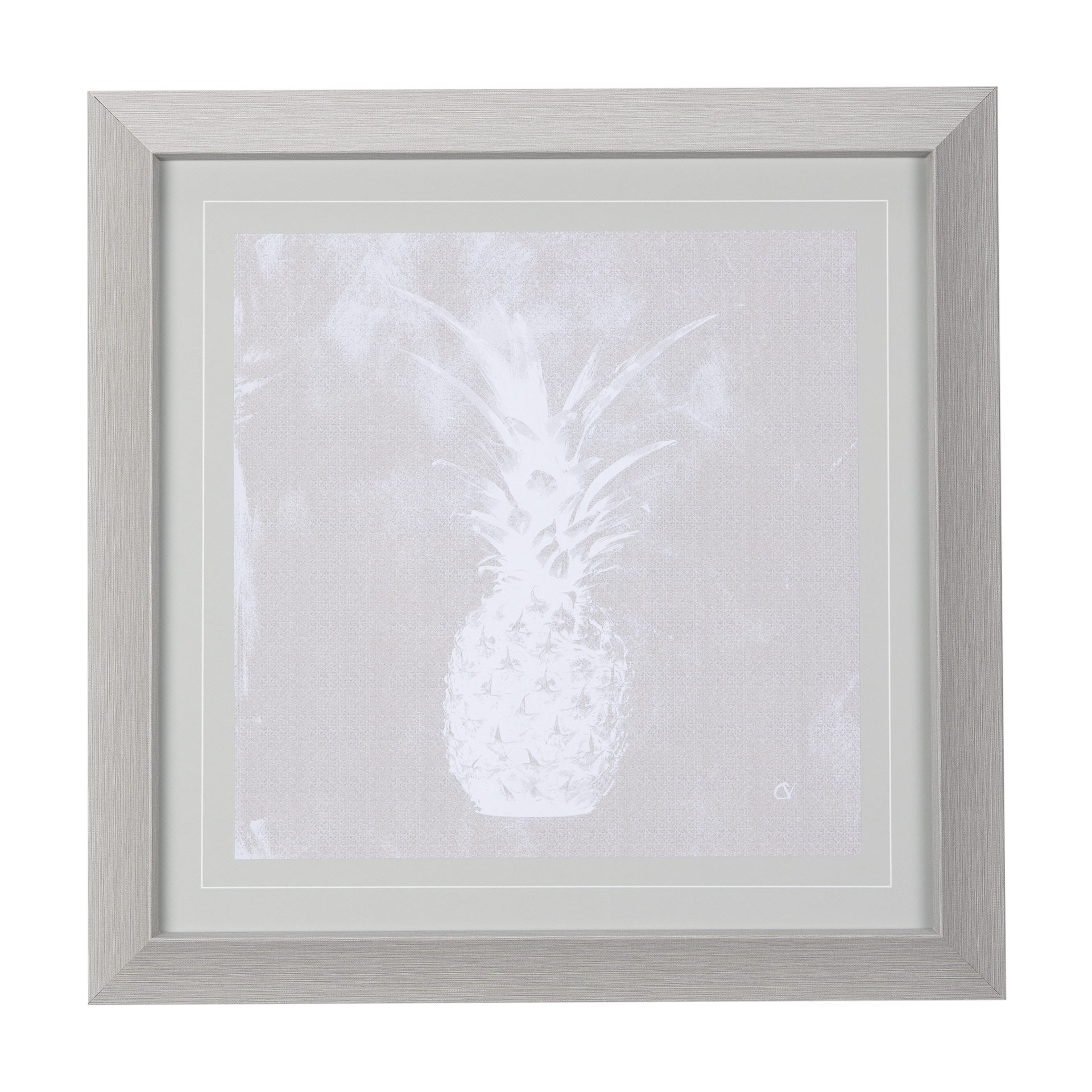 Tropical Pineapple II (23 x 23)