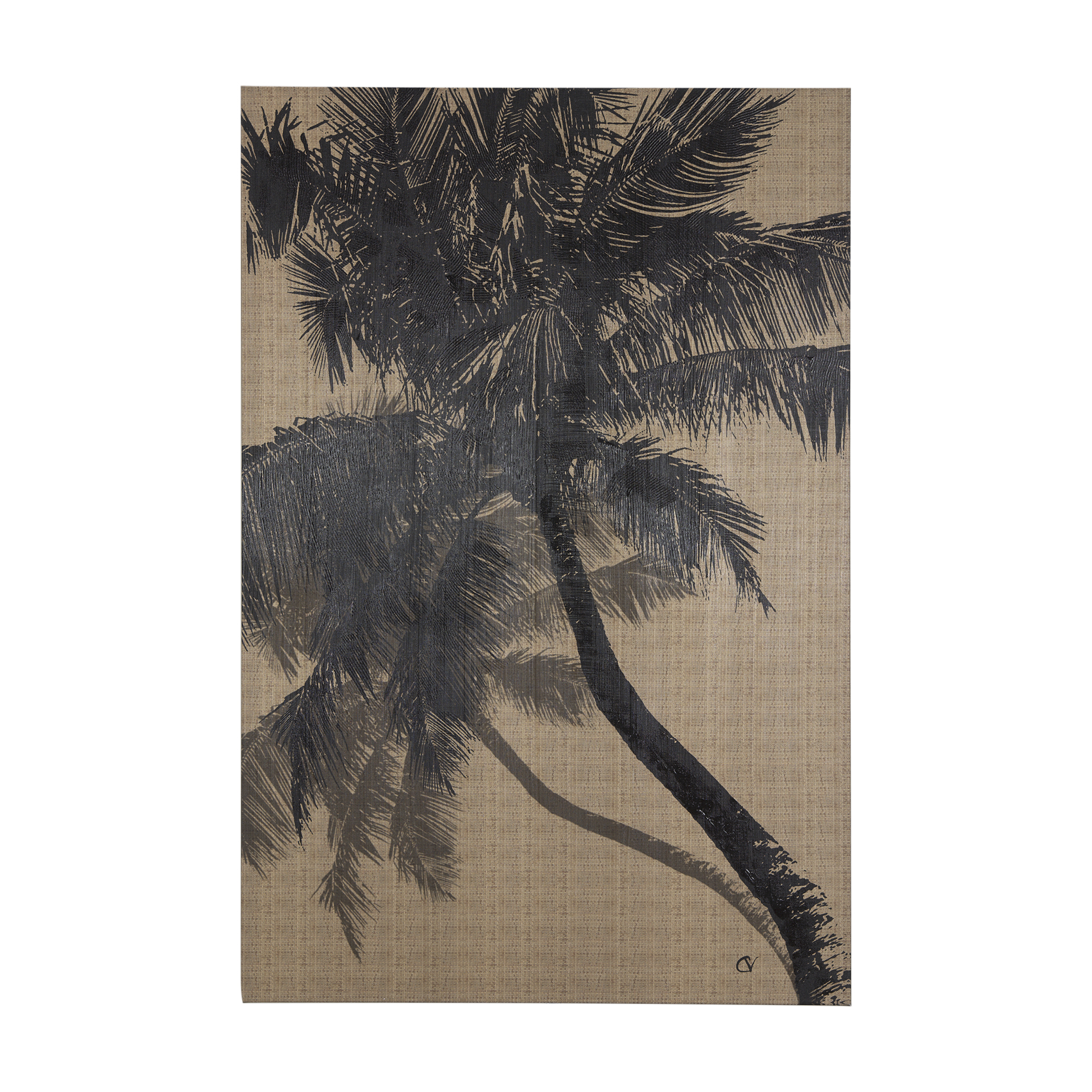 Palm Shadow I (40 x 60)