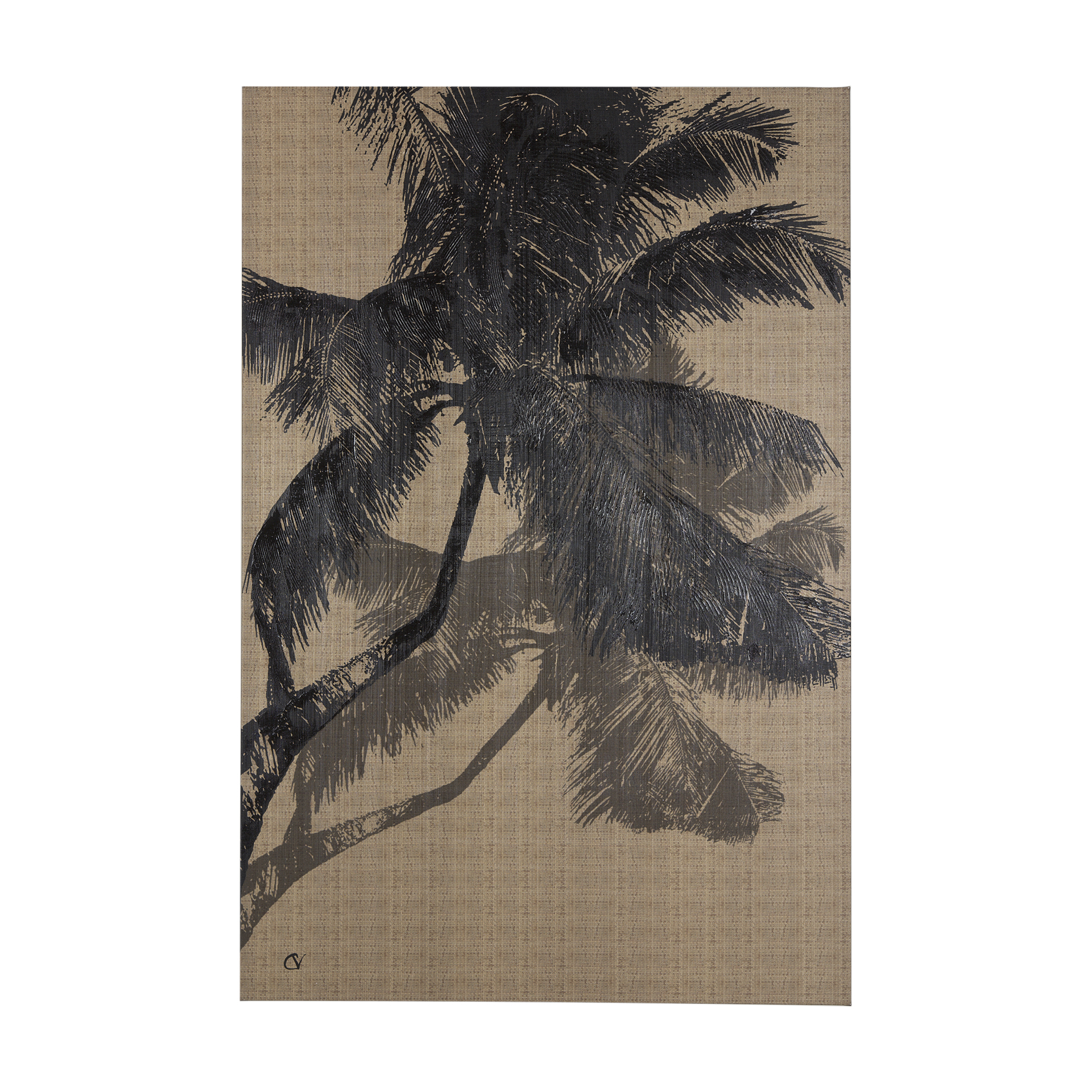 Palm Shadow II (40 x 60)