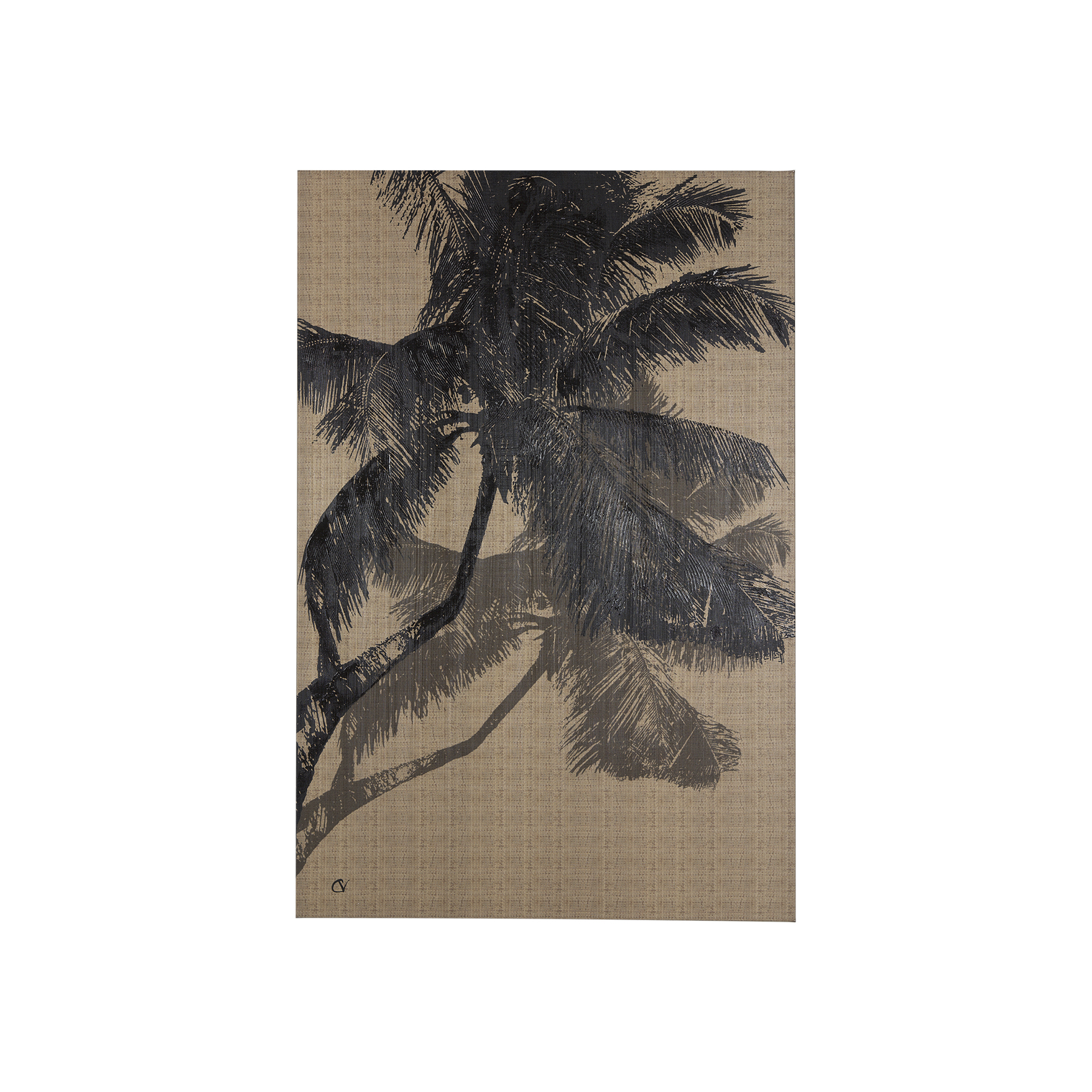 Palm Shadow II (30 x 45)