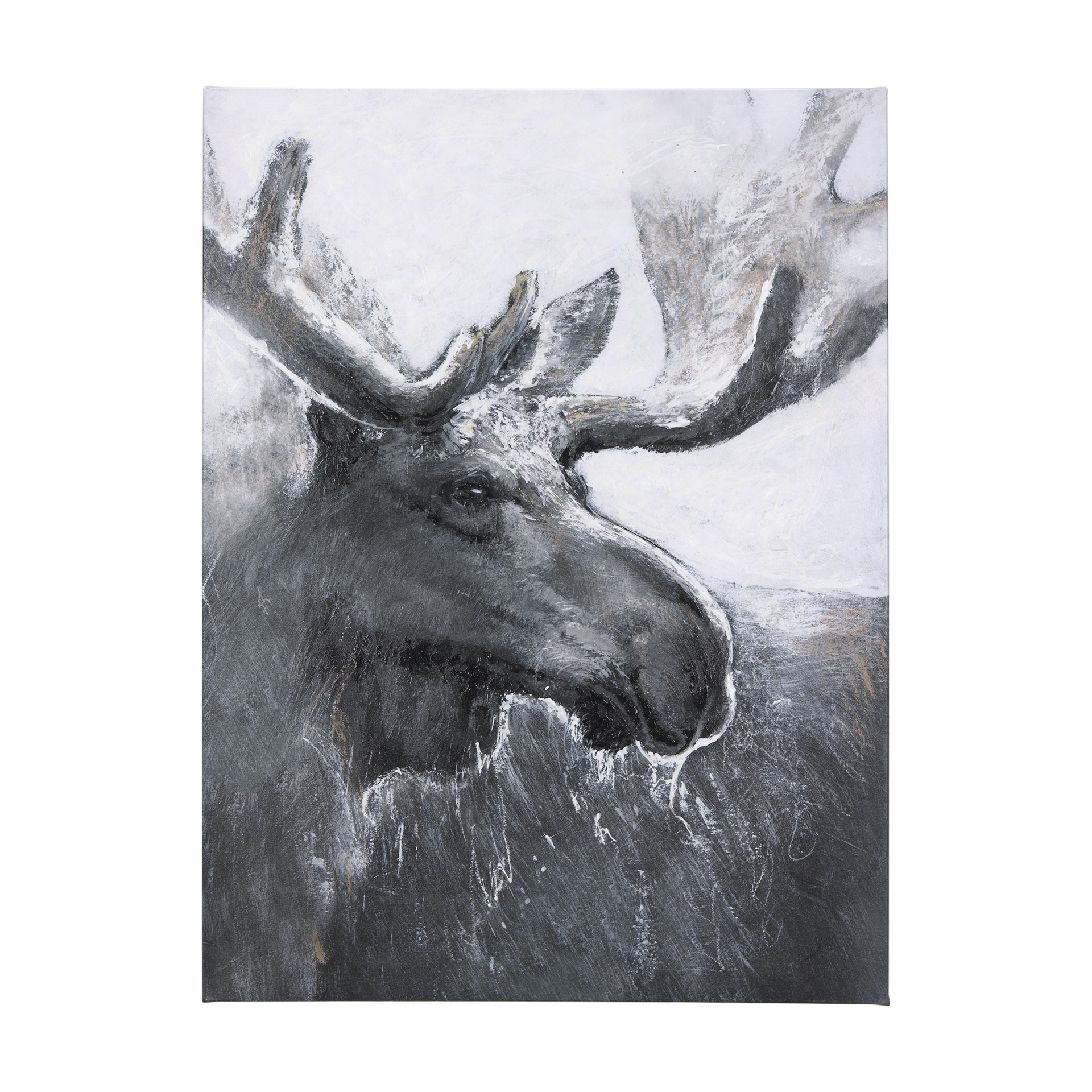 Animal Portrait I (Moose) (40 x 60)