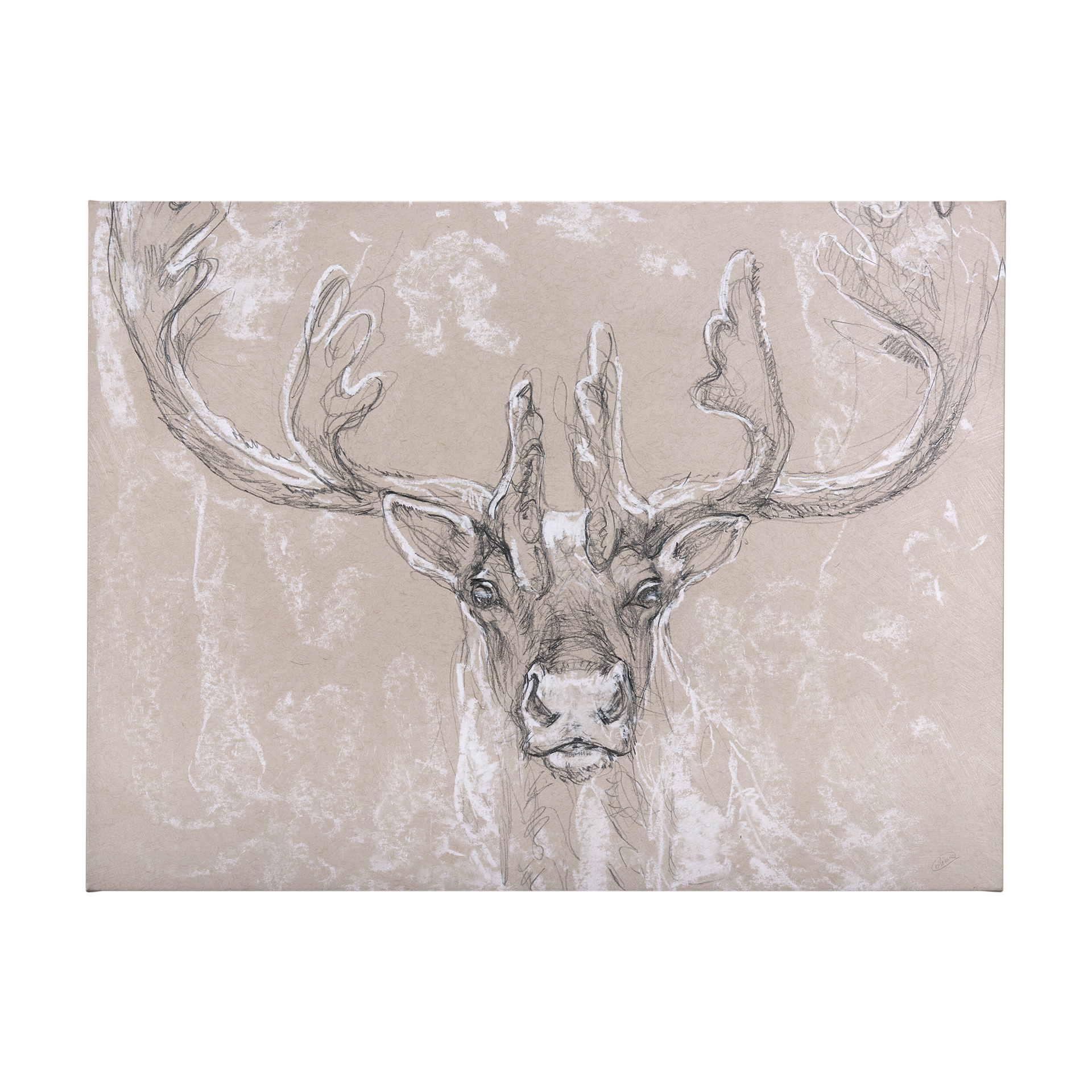 Sketch of Animal II (Caribou) (56 x 42)