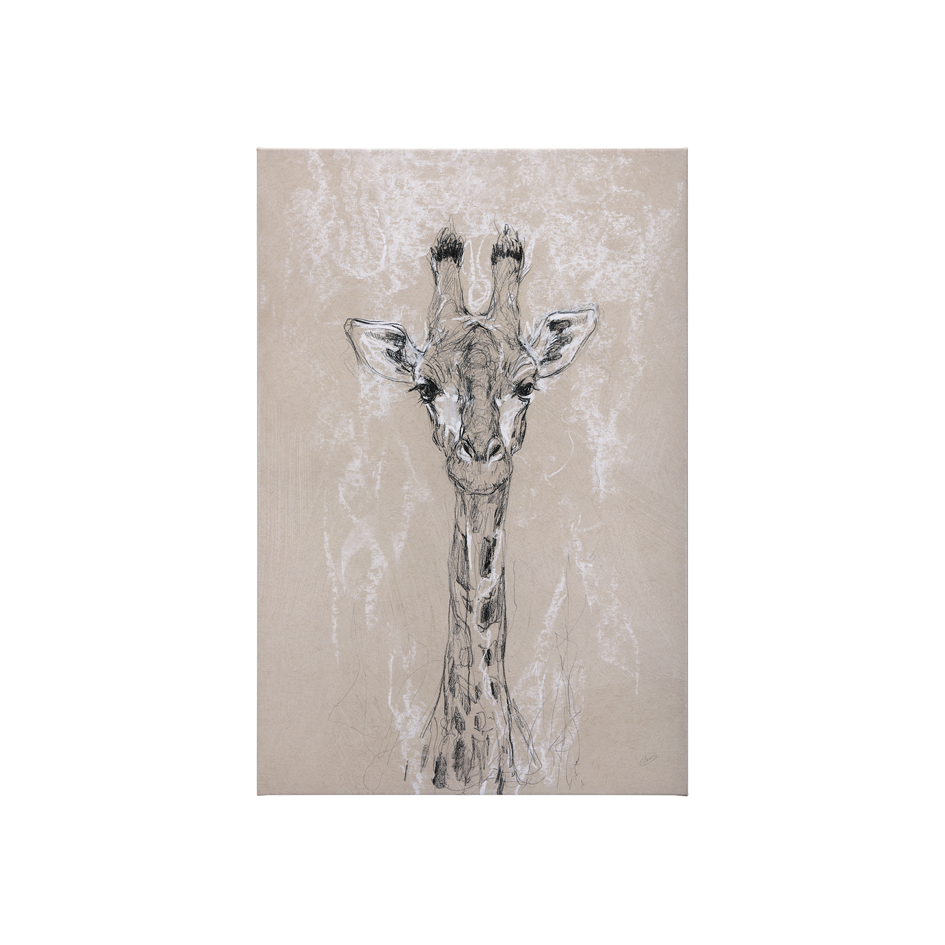 Sketch of Animal IV (Giraffe) (30 x 45)