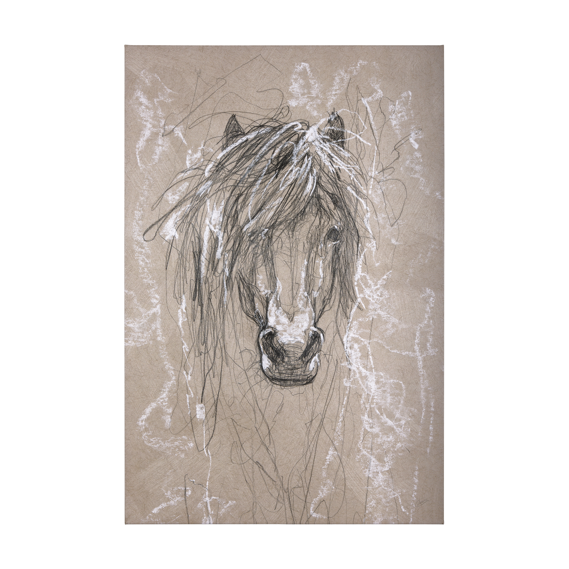 Sketch of Animal VI (Pony) (40 x 60)