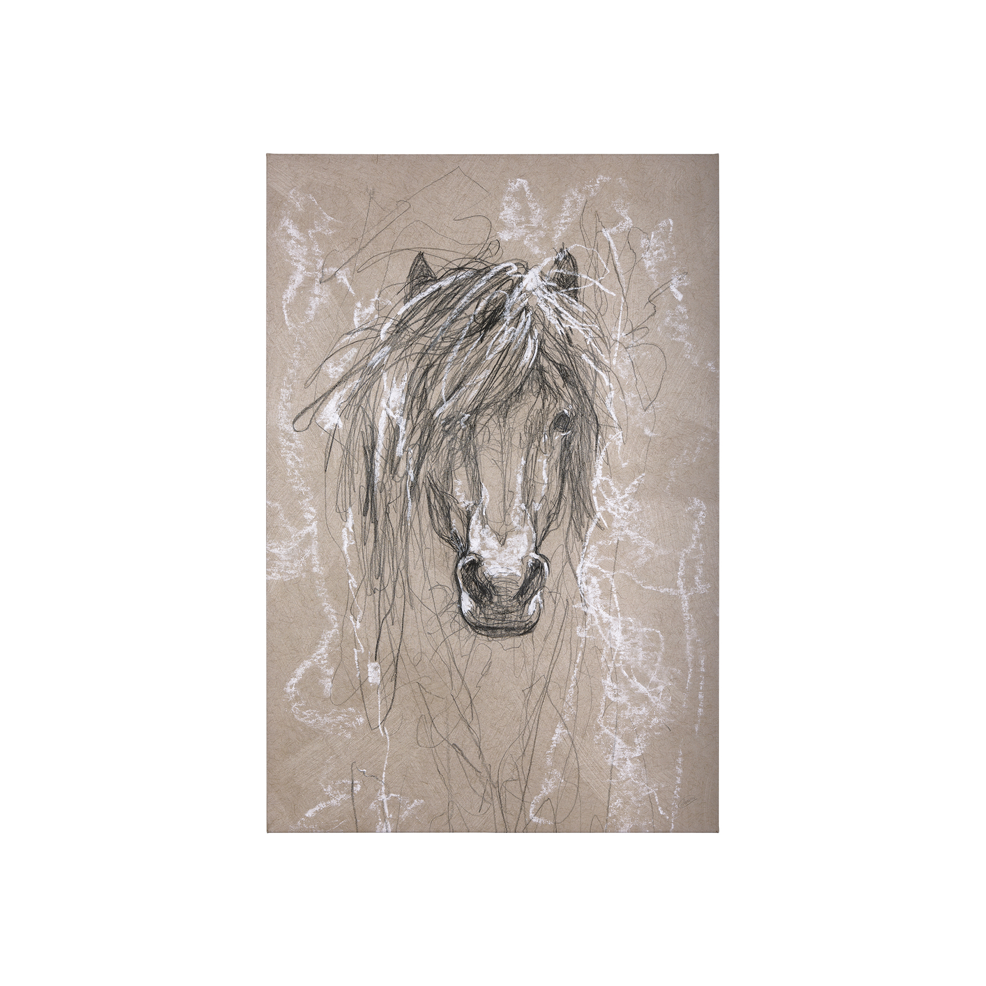 Sketch of Animal VI (Pony) (30 x 45)