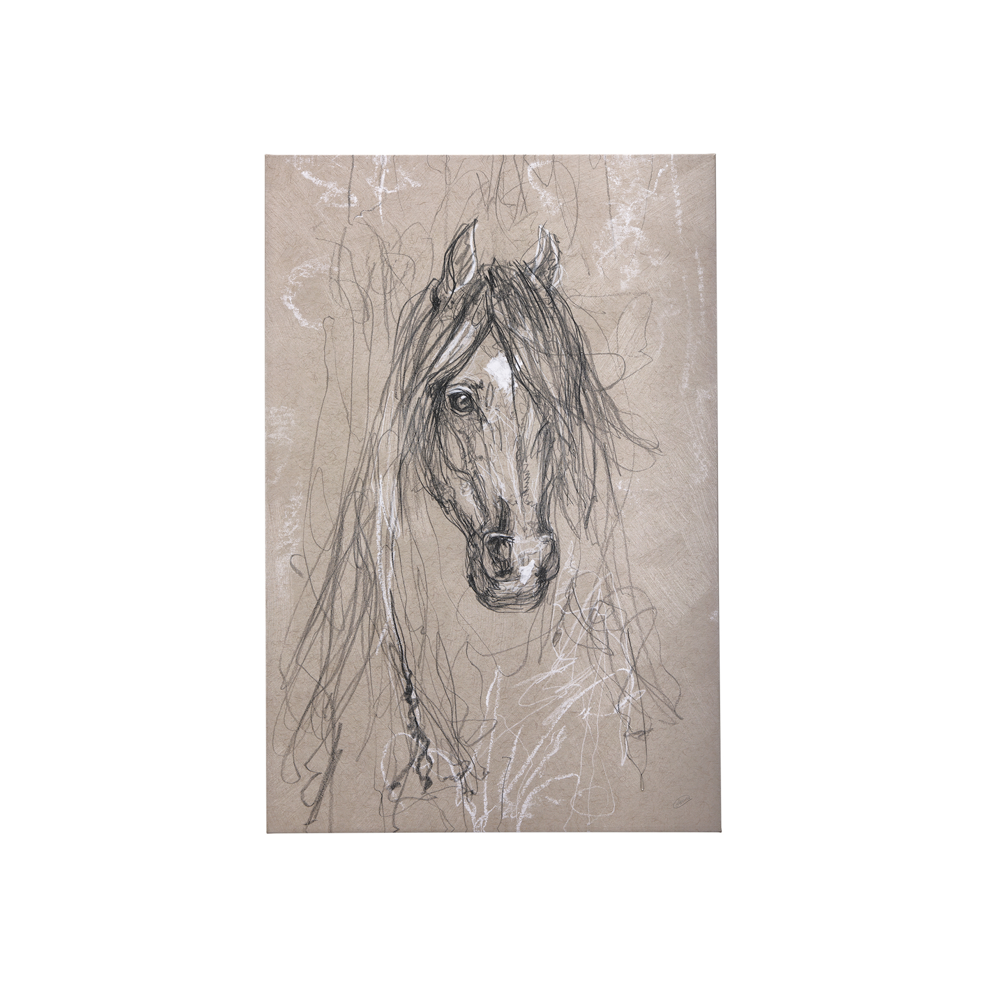 Sketch of Animal VII (Horse) (30 x 45)