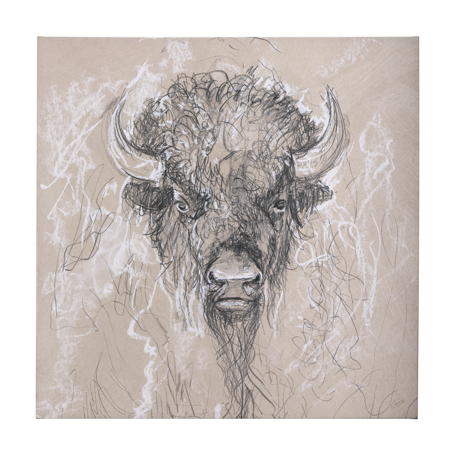 Sketch of Animal IX (Bison) (44 x 44)