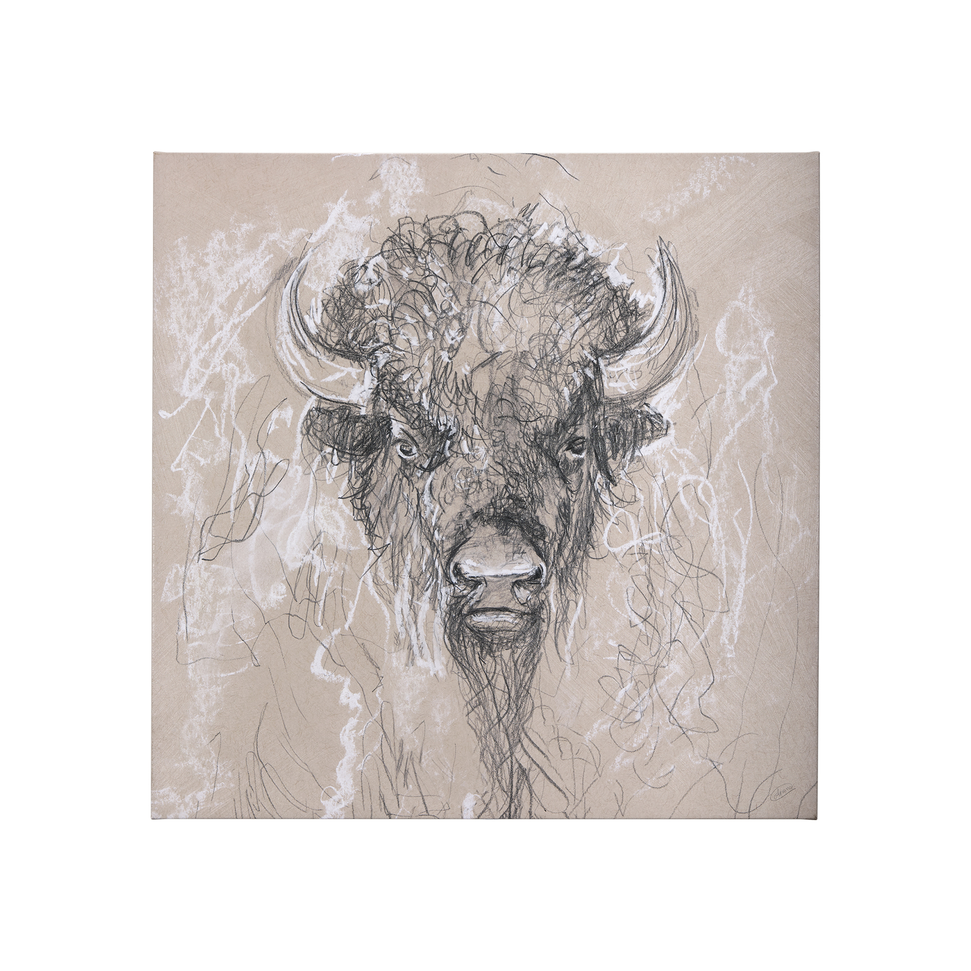 Sketch of Animal IX (Bison) (30 x 30)