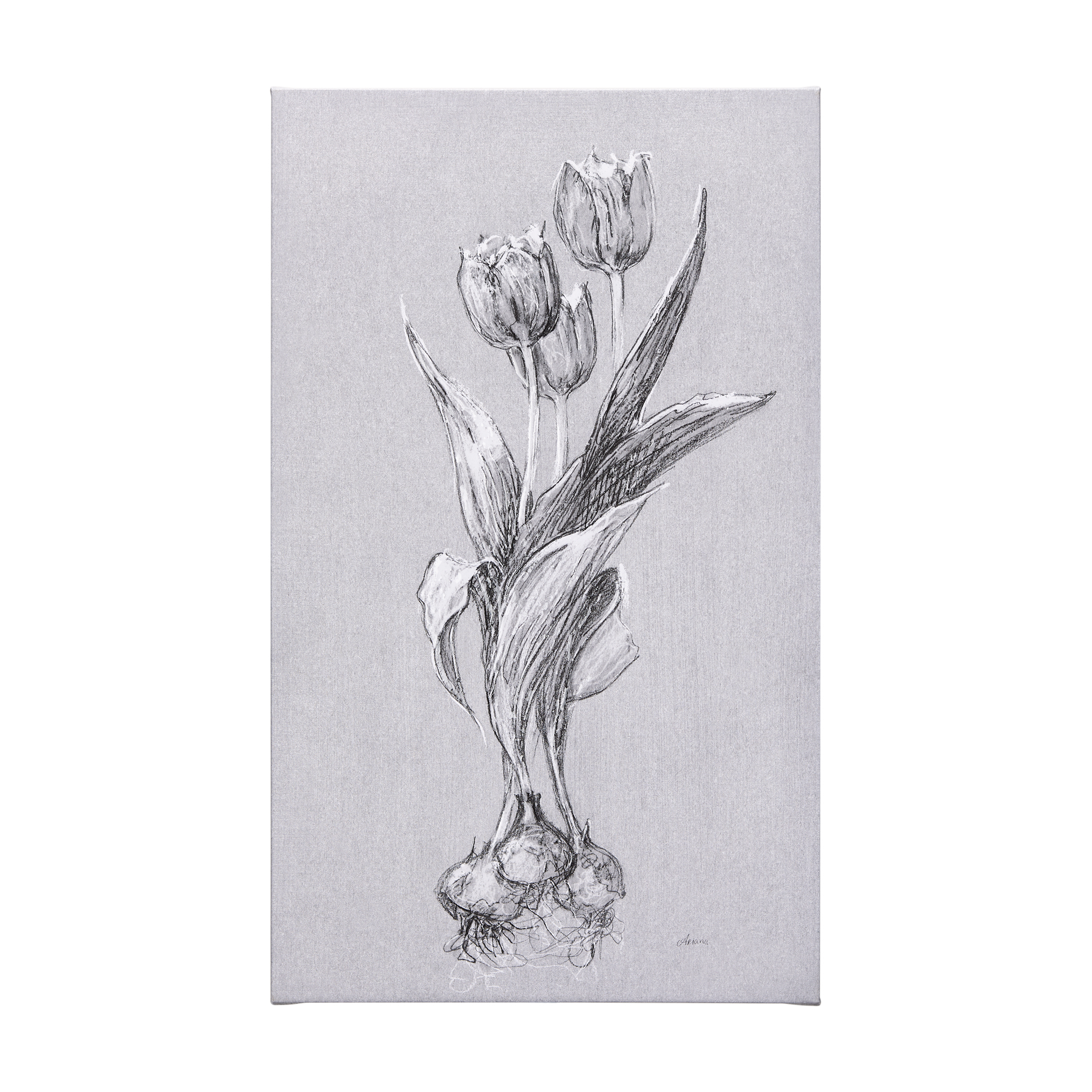 Botanical Sketches I (Grey) (36 x 60)