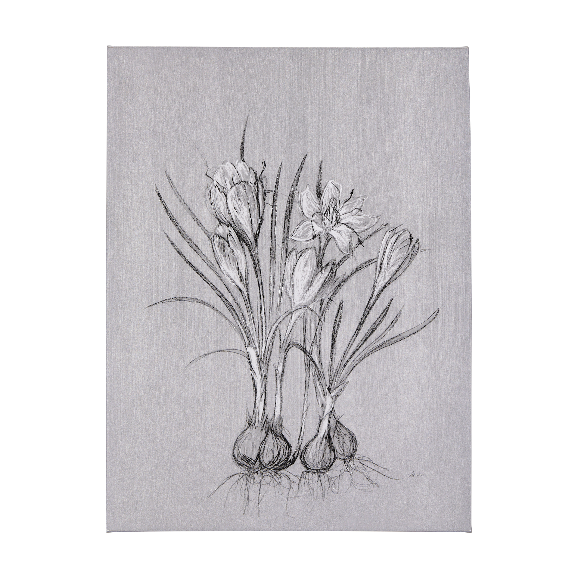 Botanical Sketches V (Grey) (36 x 60)