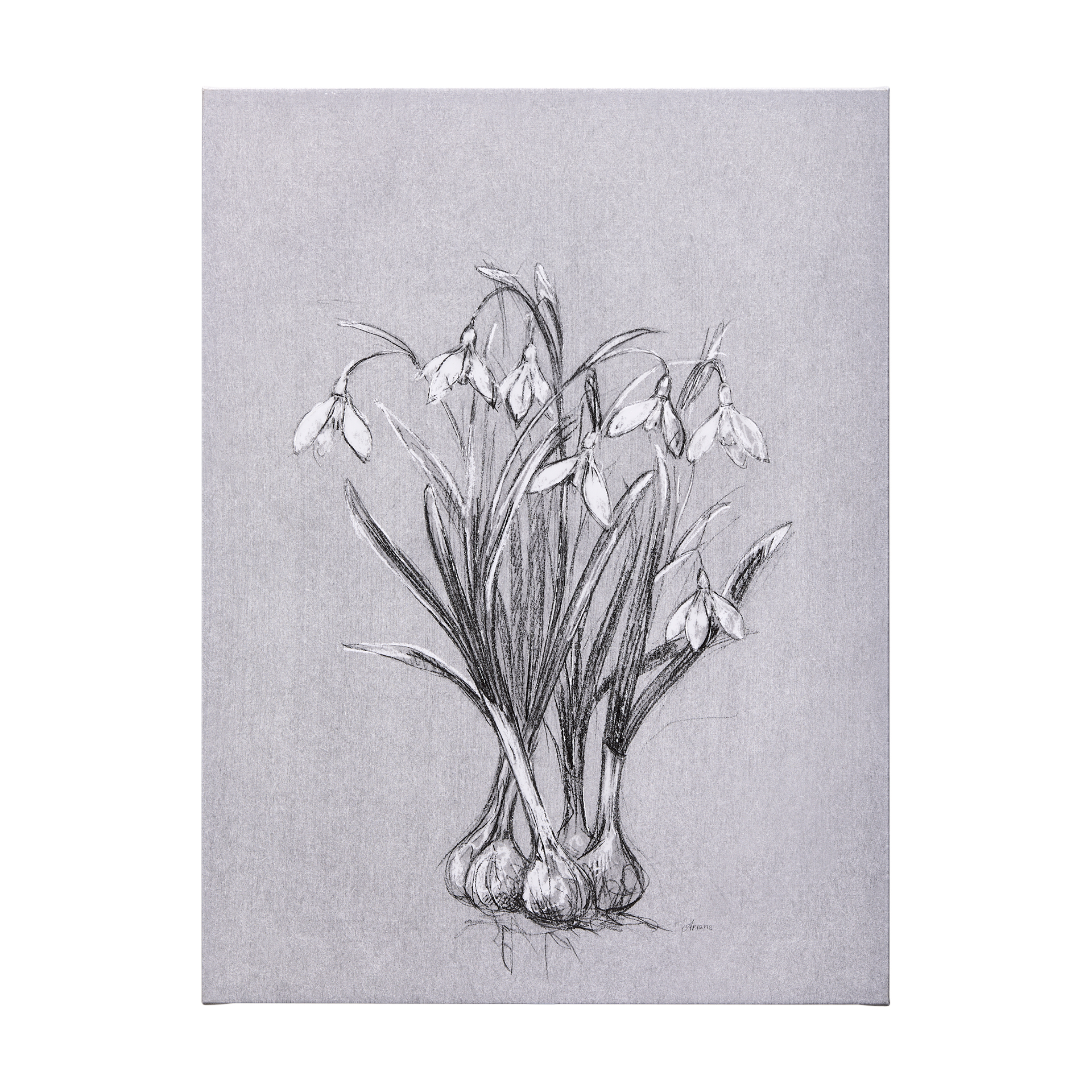 Botanical Sketches VI (Grey) (36 x 60)