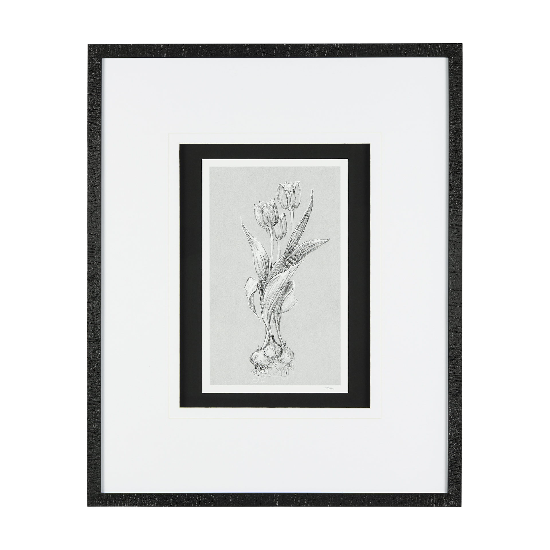 Botanical Sketches I (Grey) (21 x 25)