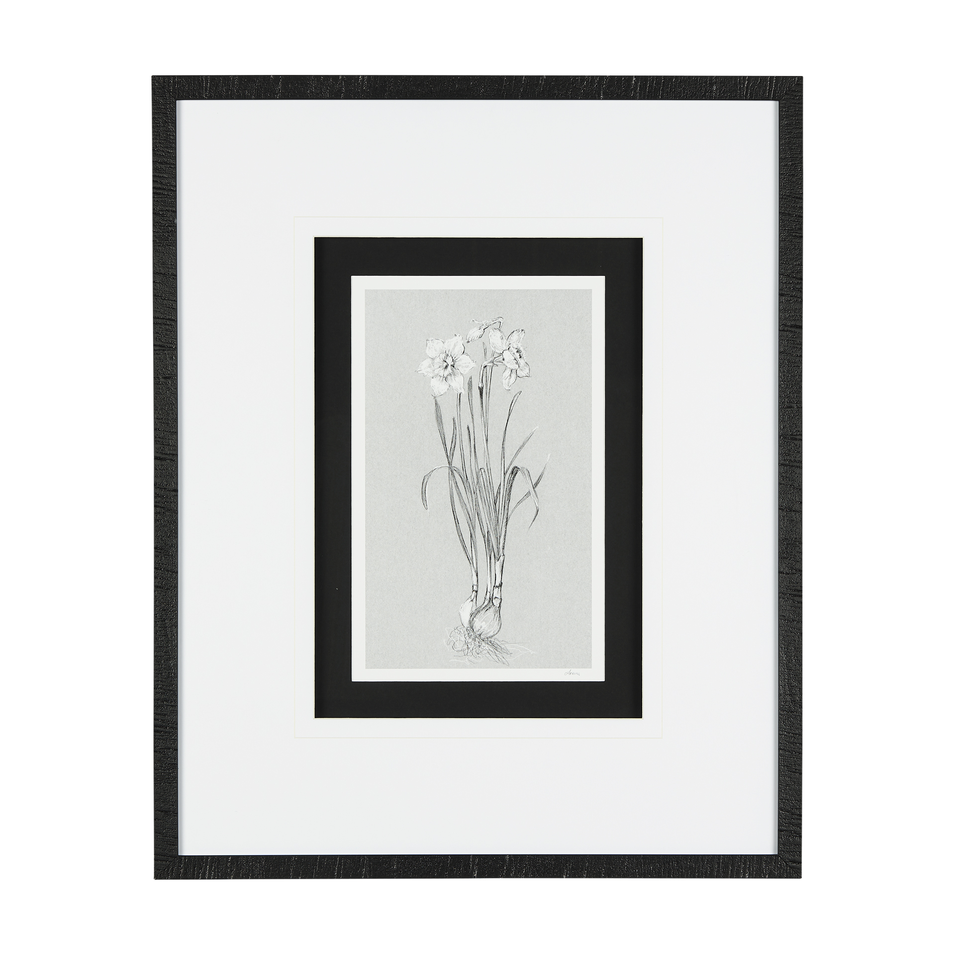 Botanical Sketches II (Grey) (21 x 25)