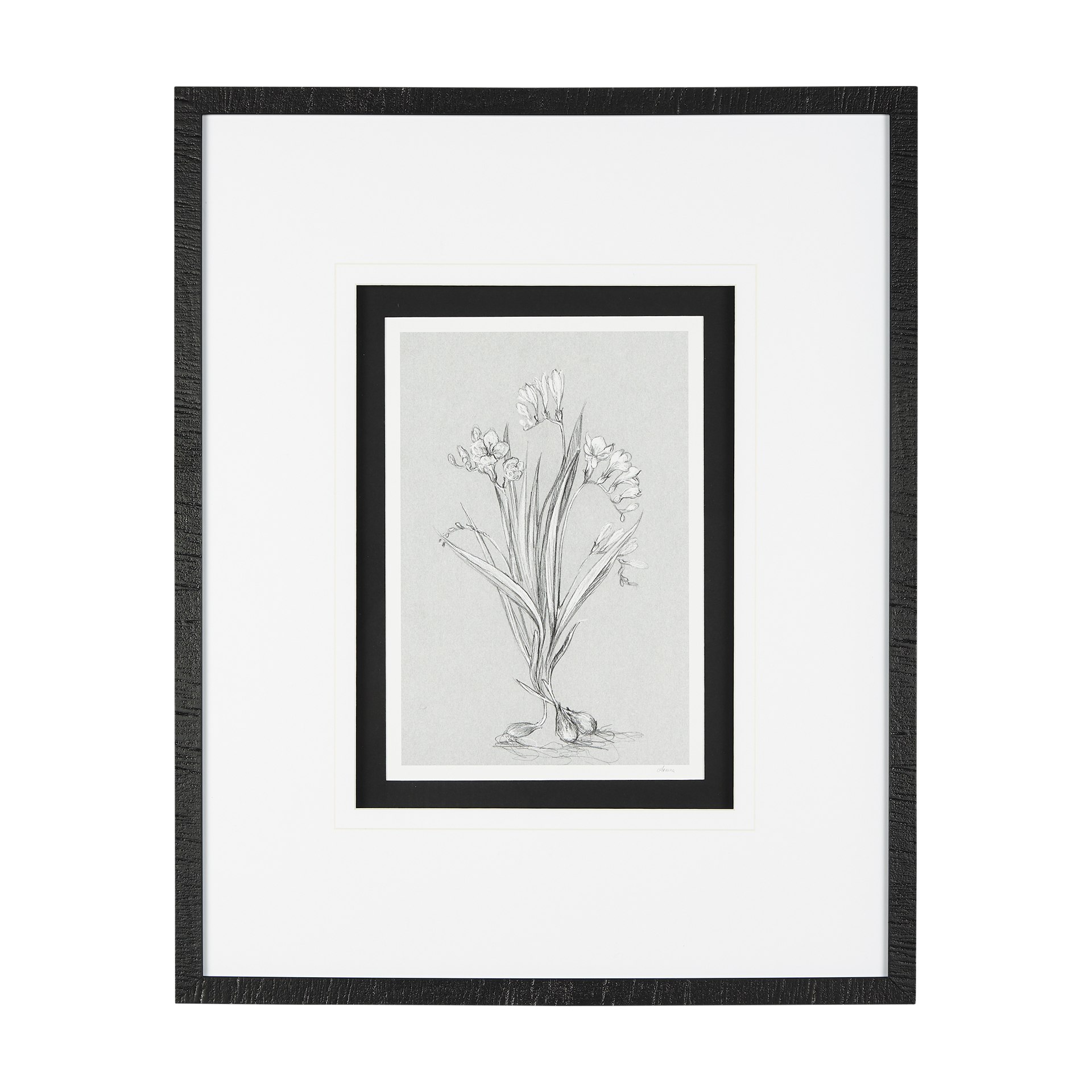 Botanical Sketches III (Grey) (25 x 31)