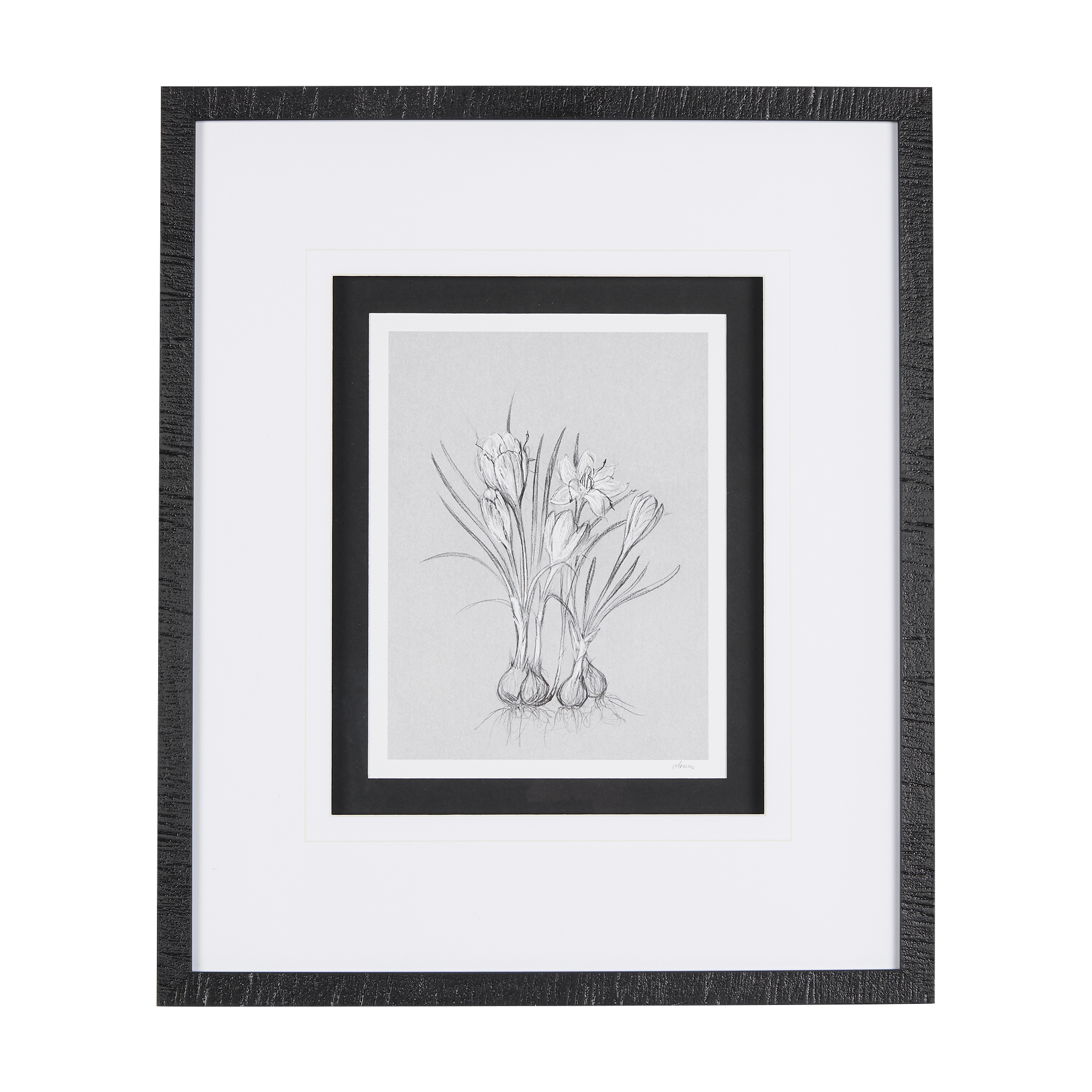 Botanical Sketches V (Grey) (21 x 25)