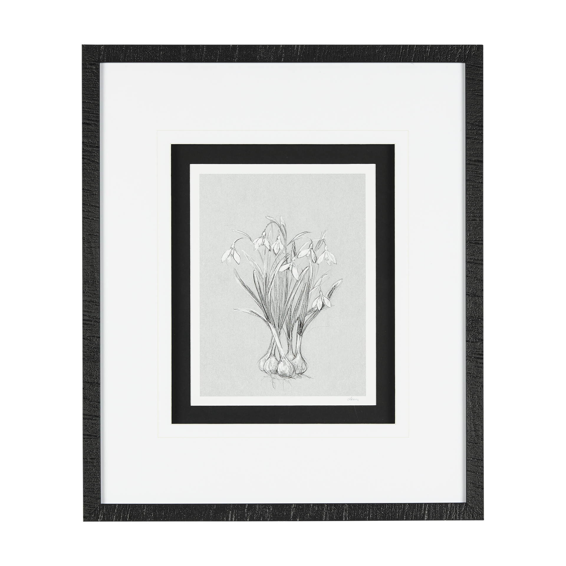 Botanical Sketches VI (Grey) (21 x 25)