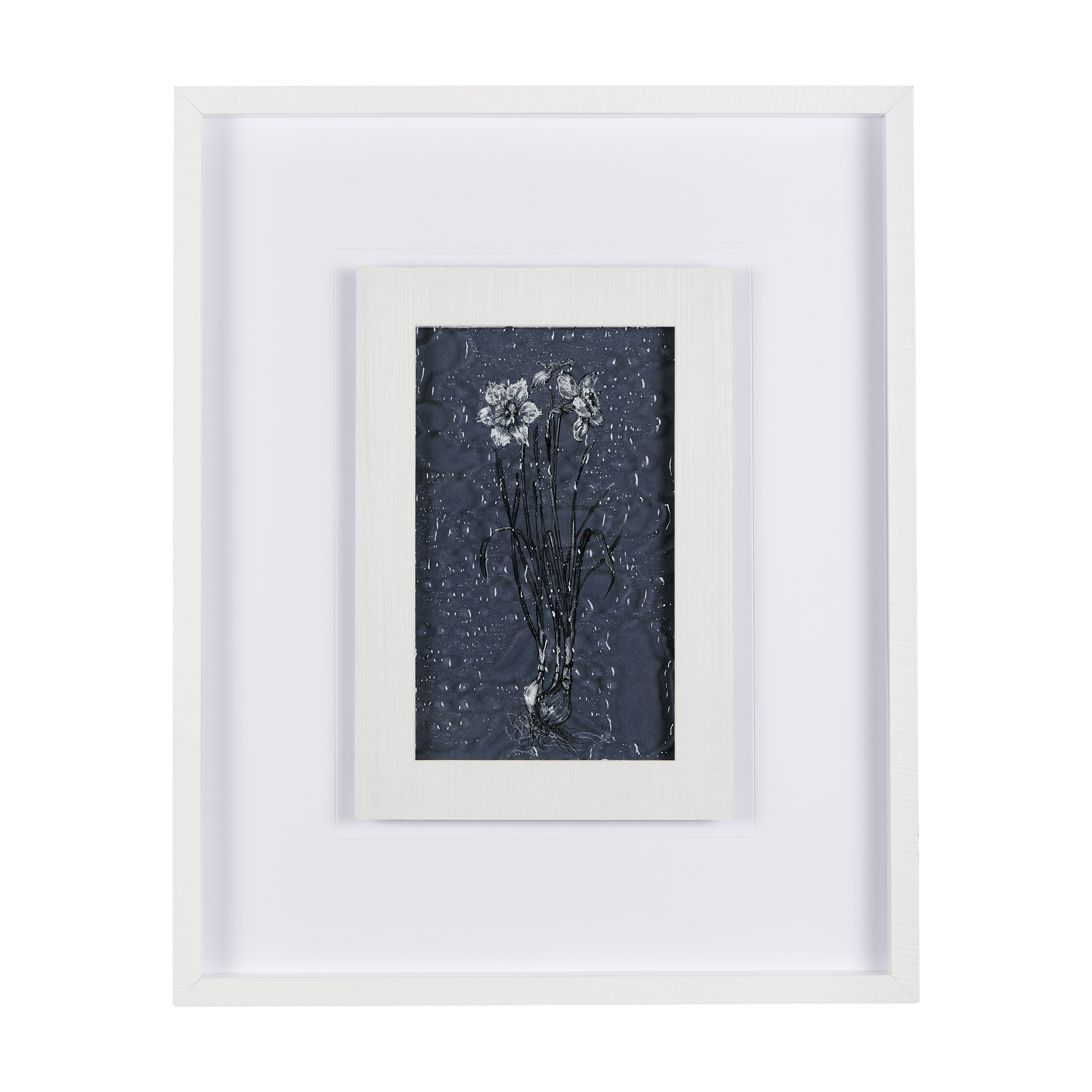 Botanical Sketches II (Blue) White Water (25 x 31)