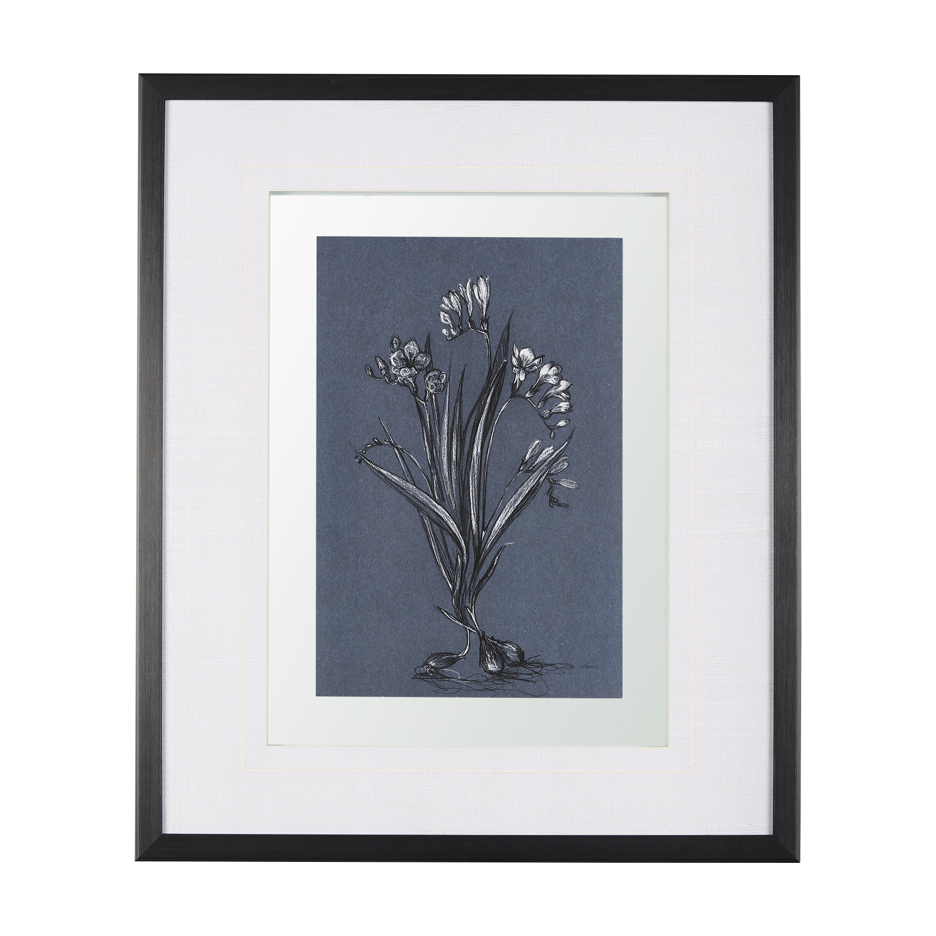 Botanical Sketches III (Blue) (21 x 25)