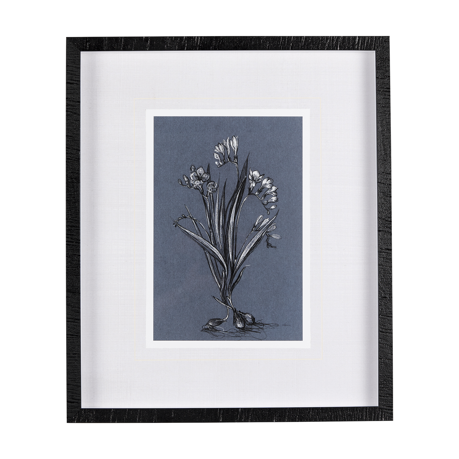 Botanical Sketches III (Blue) Thin (21 x 25)