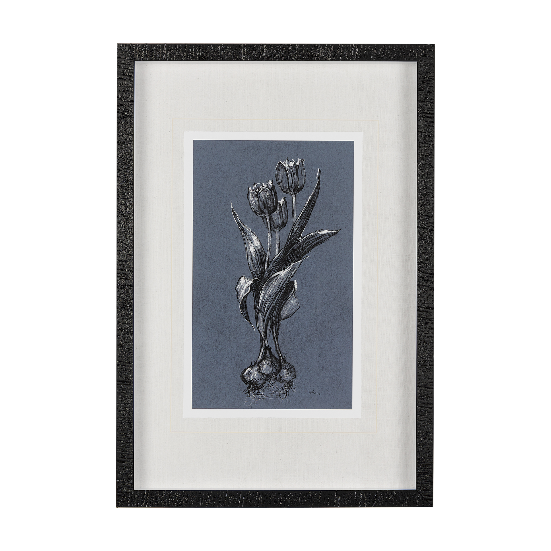 Botanical Sketches I (Blue) (17 x 25)