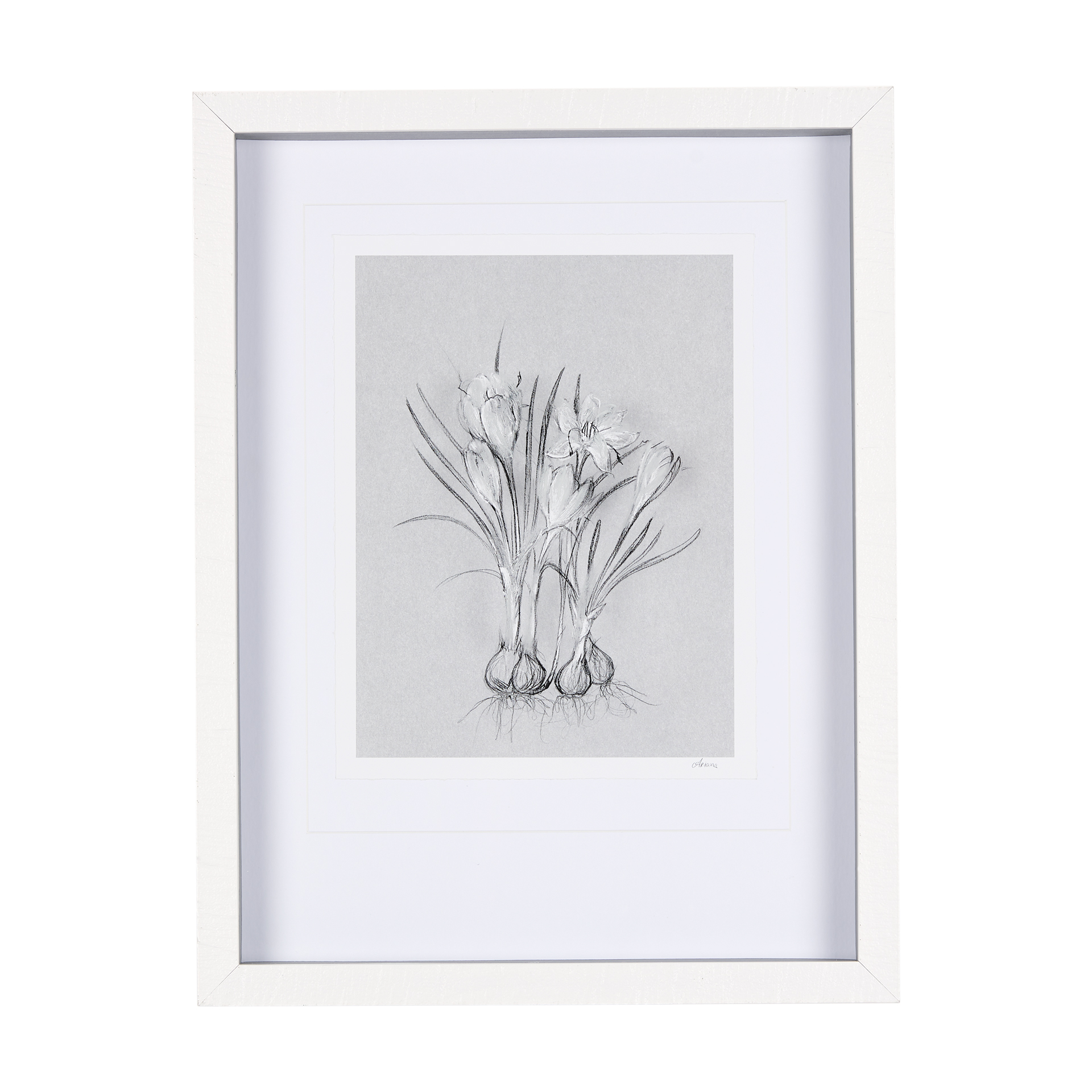 Botanical Sketches V (Grey) (16 x 21)