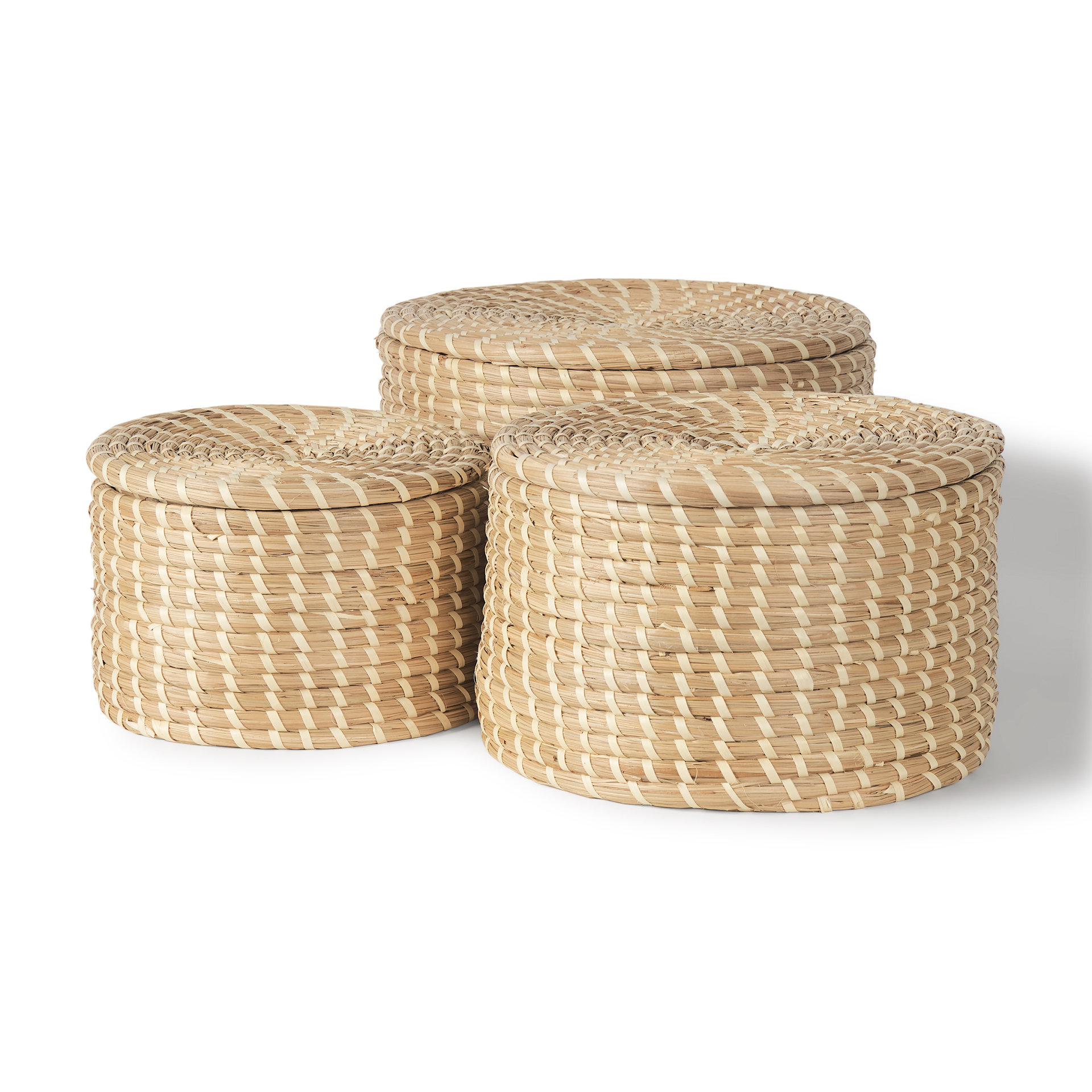 Seagrass | Set of 3