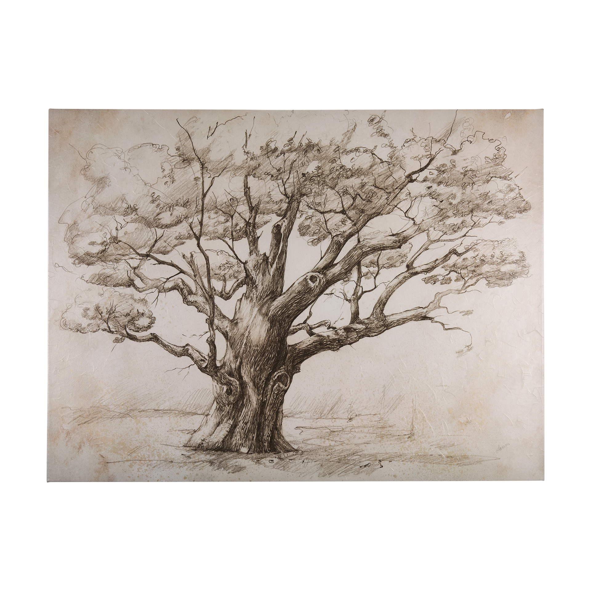 Tree Drawing III (60 x 45)