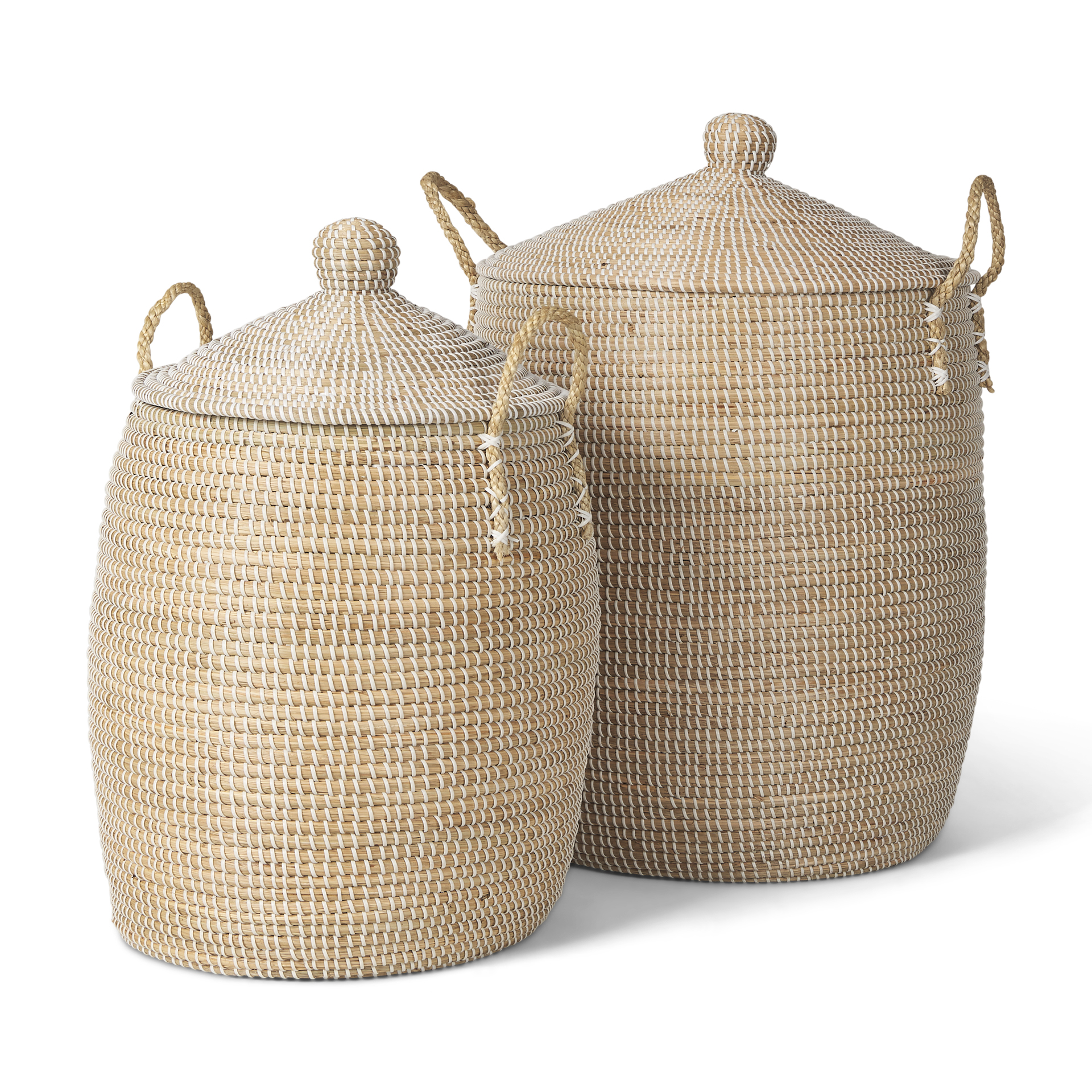 Seagrass | Set of 2 | Dome Lids